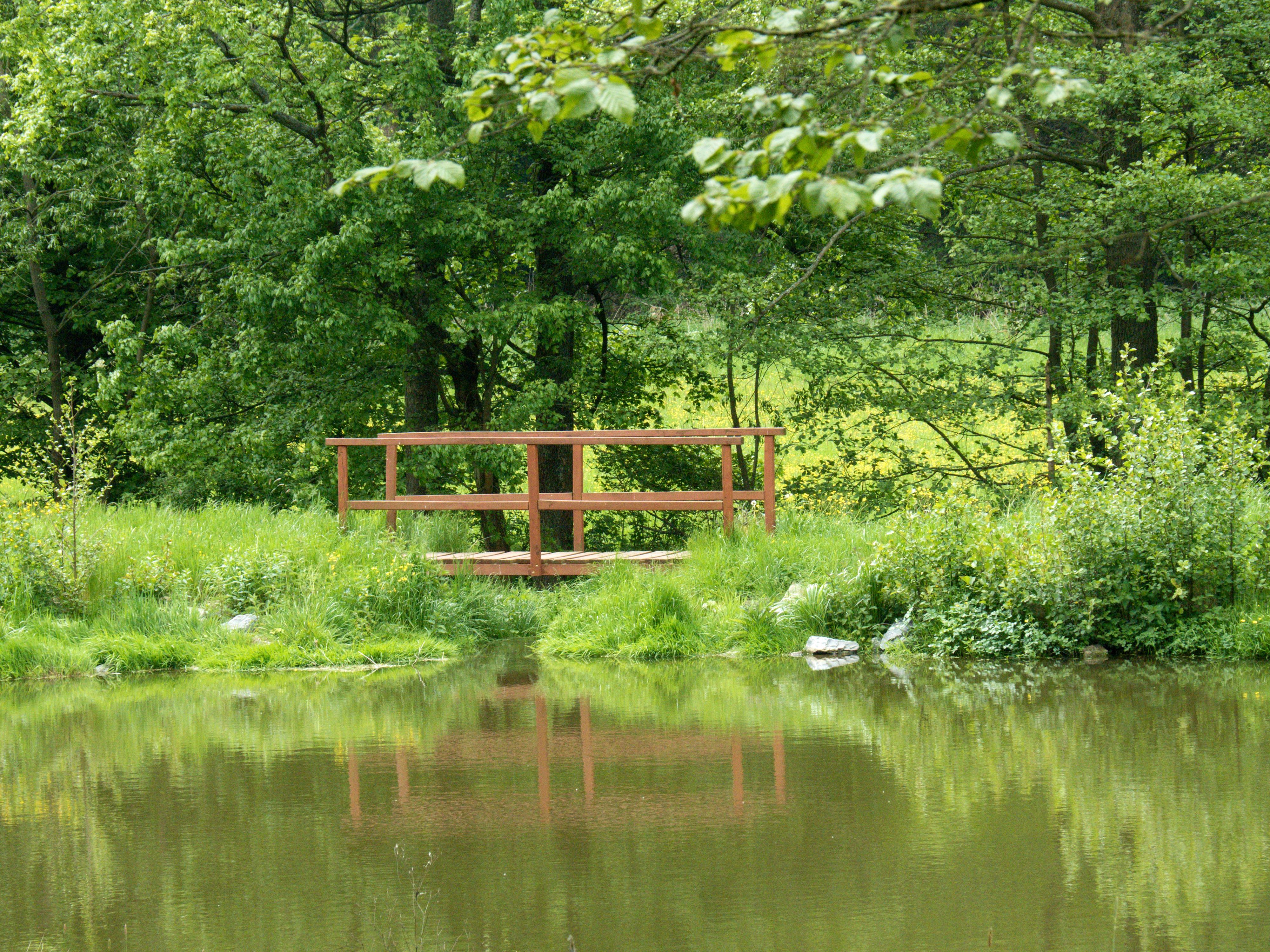 Restaurace Hálův mlýn foto 3