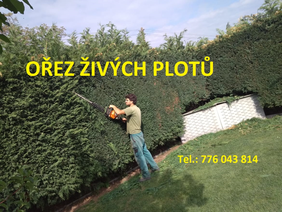 Jiří Buzinis - Zahradnické práce foto 2