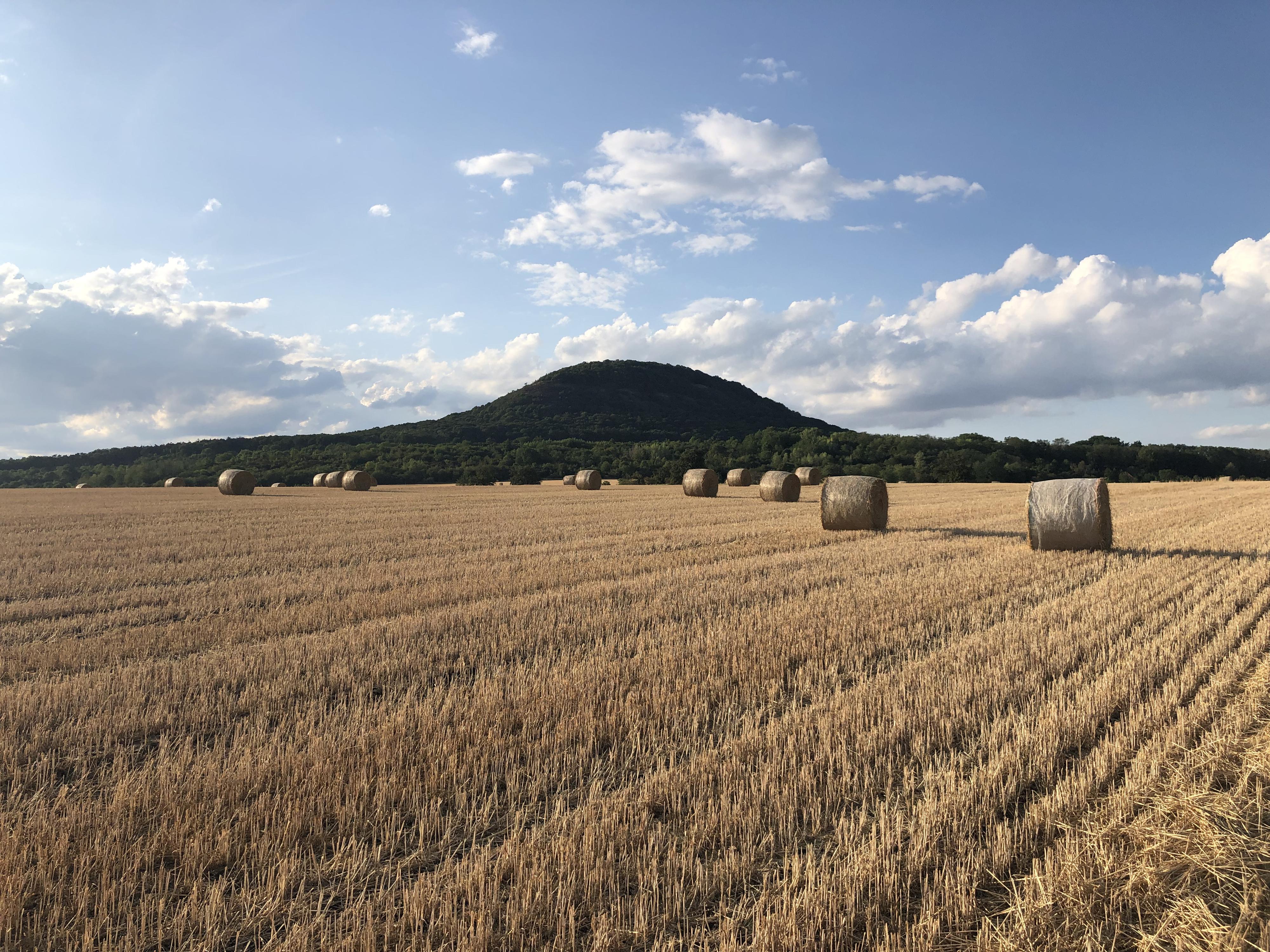 Stellplatz-Říp foto 2