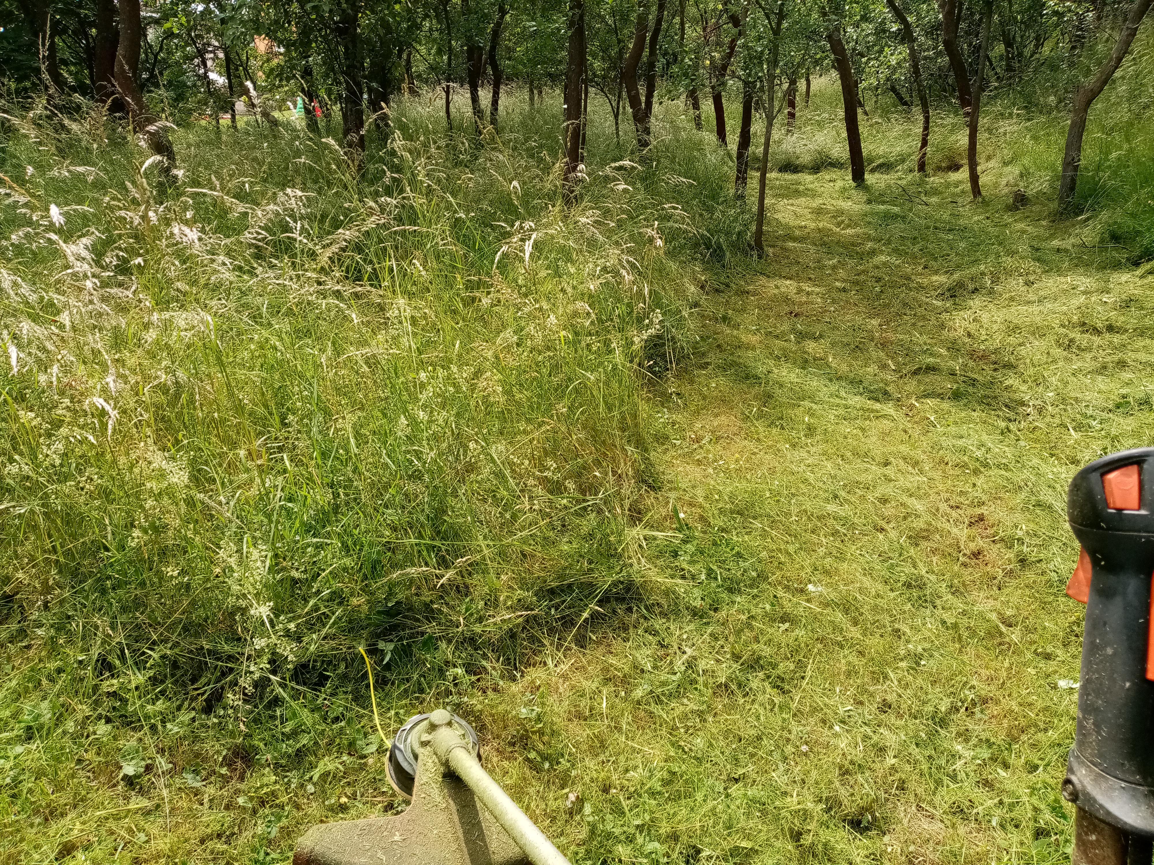 Údržba zeleně - Karel Plch foto 2