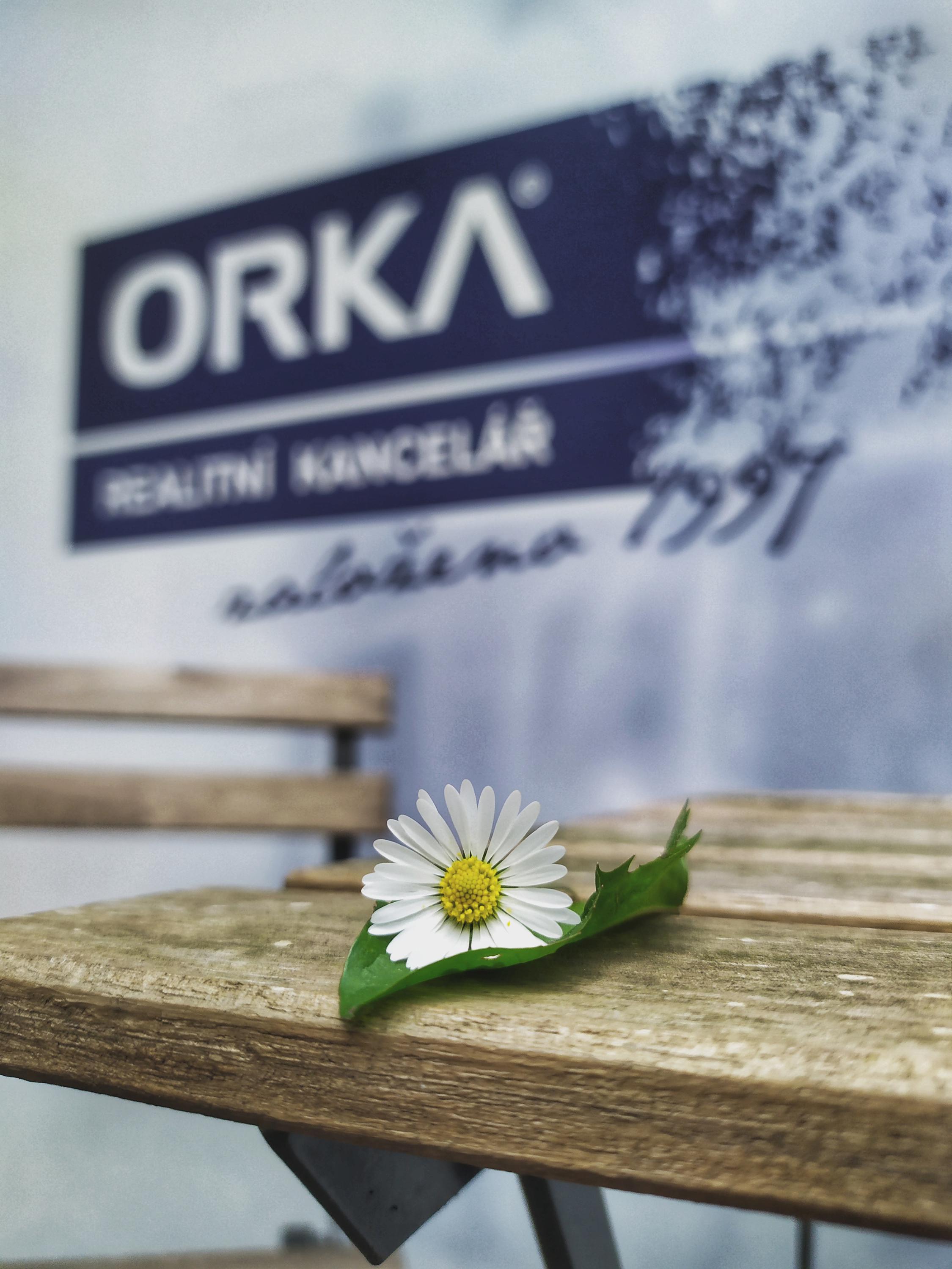 ORKA realitní kancelář foto 6