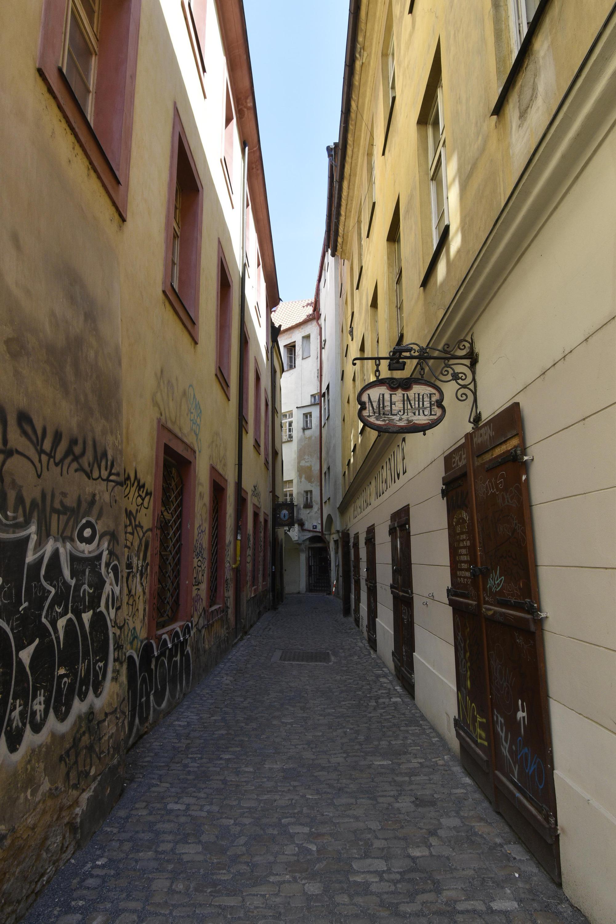 Mlejnice foto 2