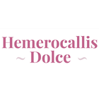 Hemerocallis Dolce