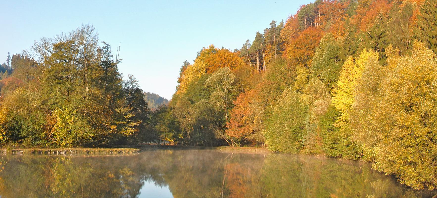 Pstruhová farma Polanka