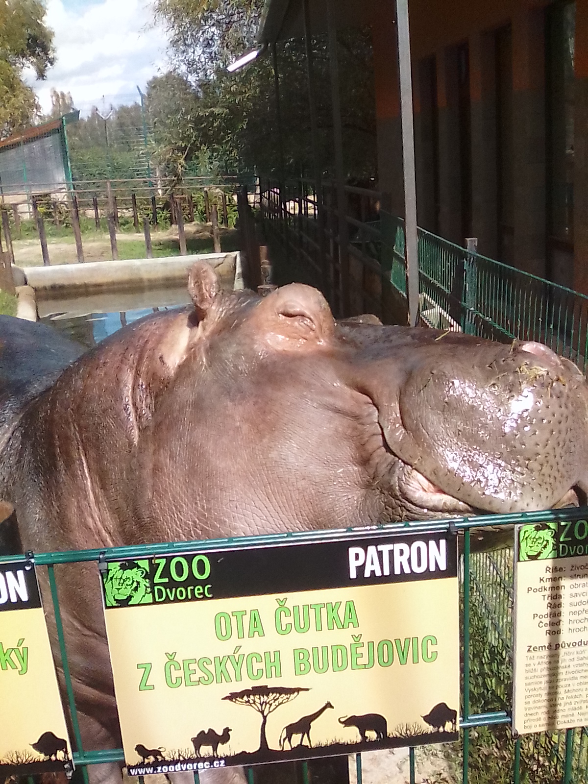 Hospůdka U krokodýla foto 2