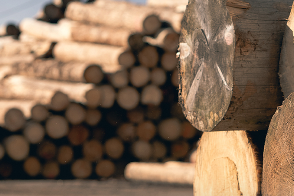 BIOMAC s.r.o. foto 2