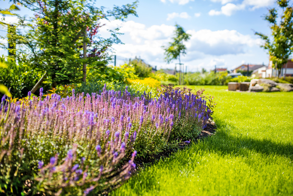 Azeleň s.r.o. - zeleň od A do Z foto 2