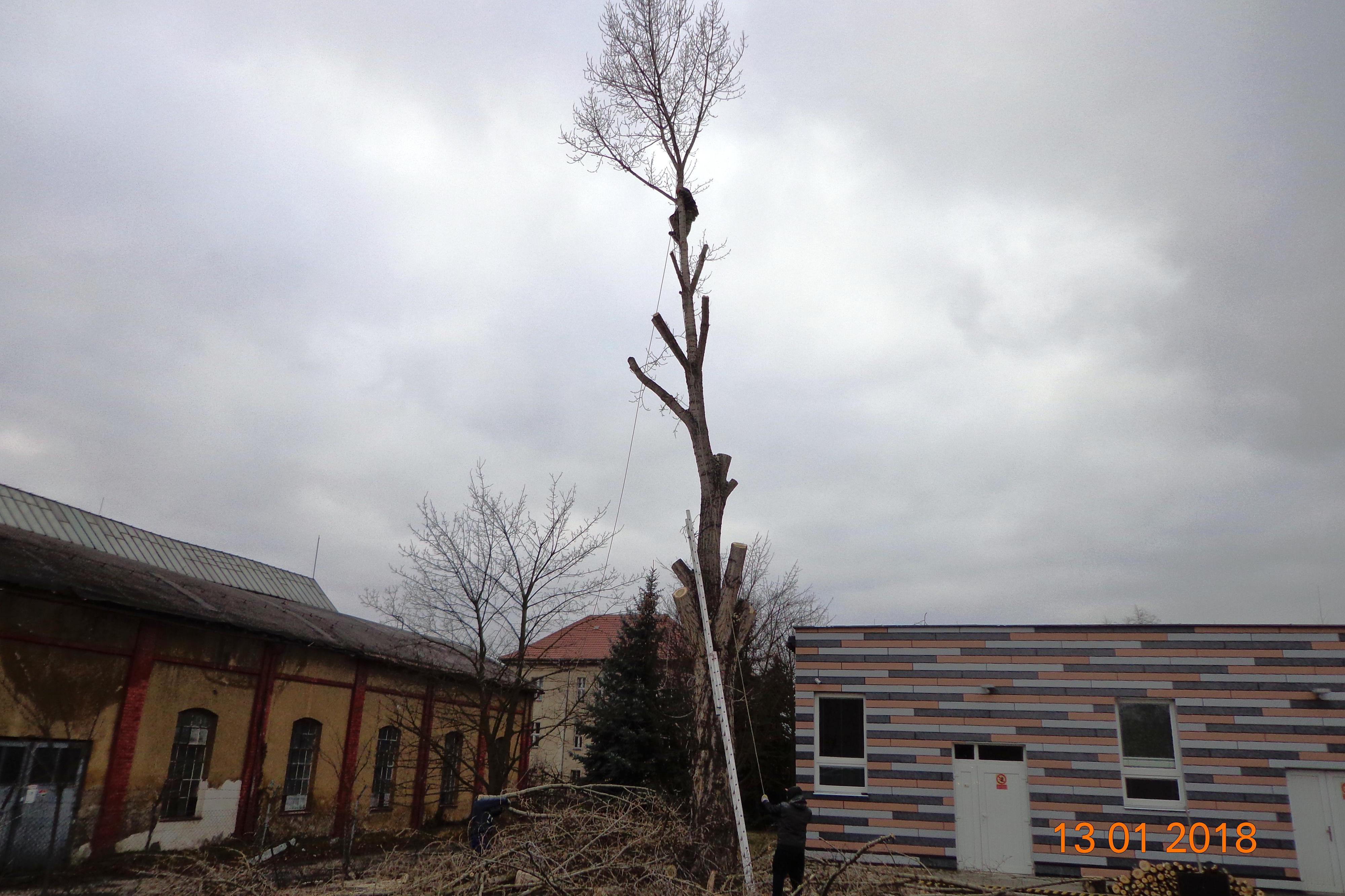 Filip Jarušek - Rizikové kácení