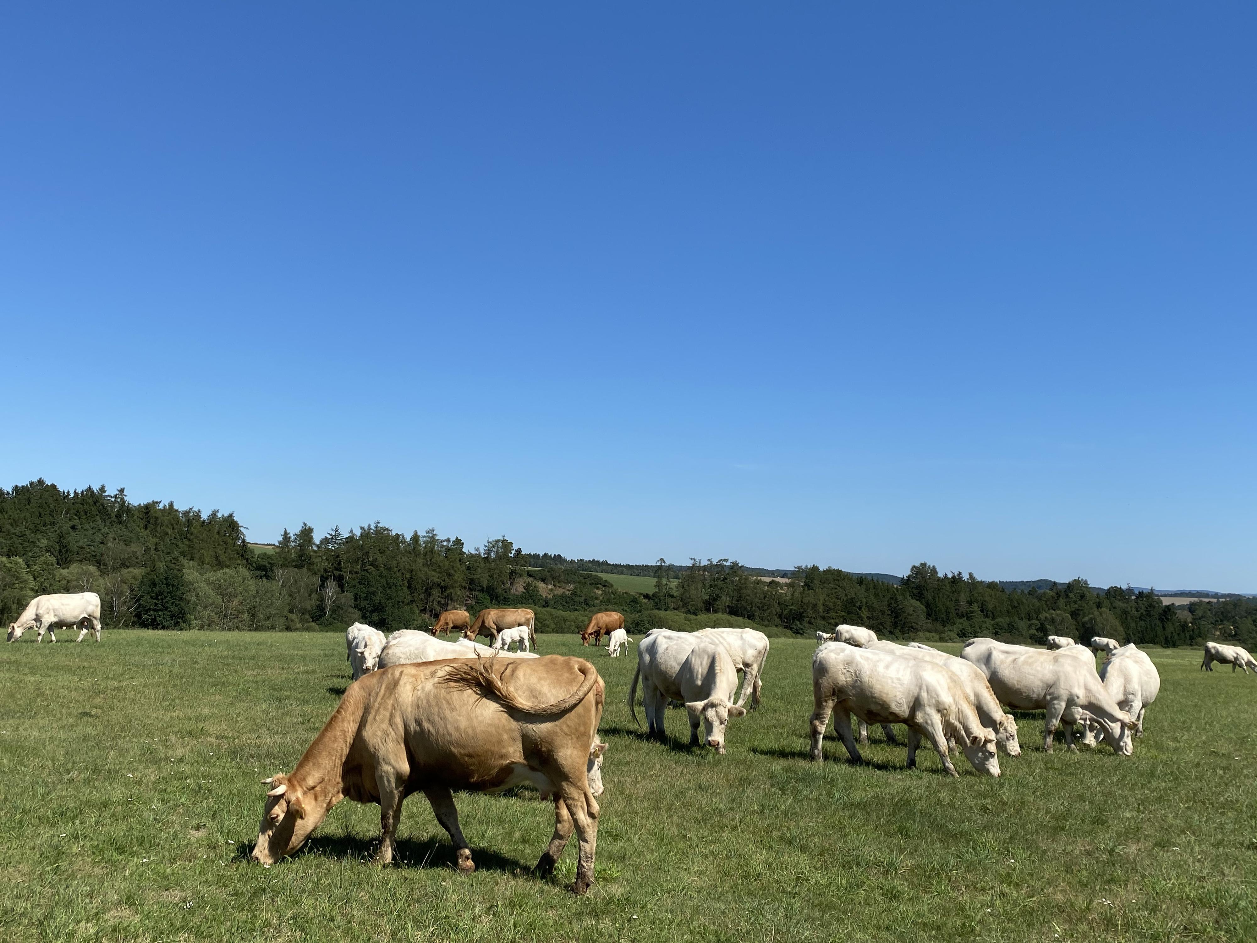 Farma Hedecko foto 2