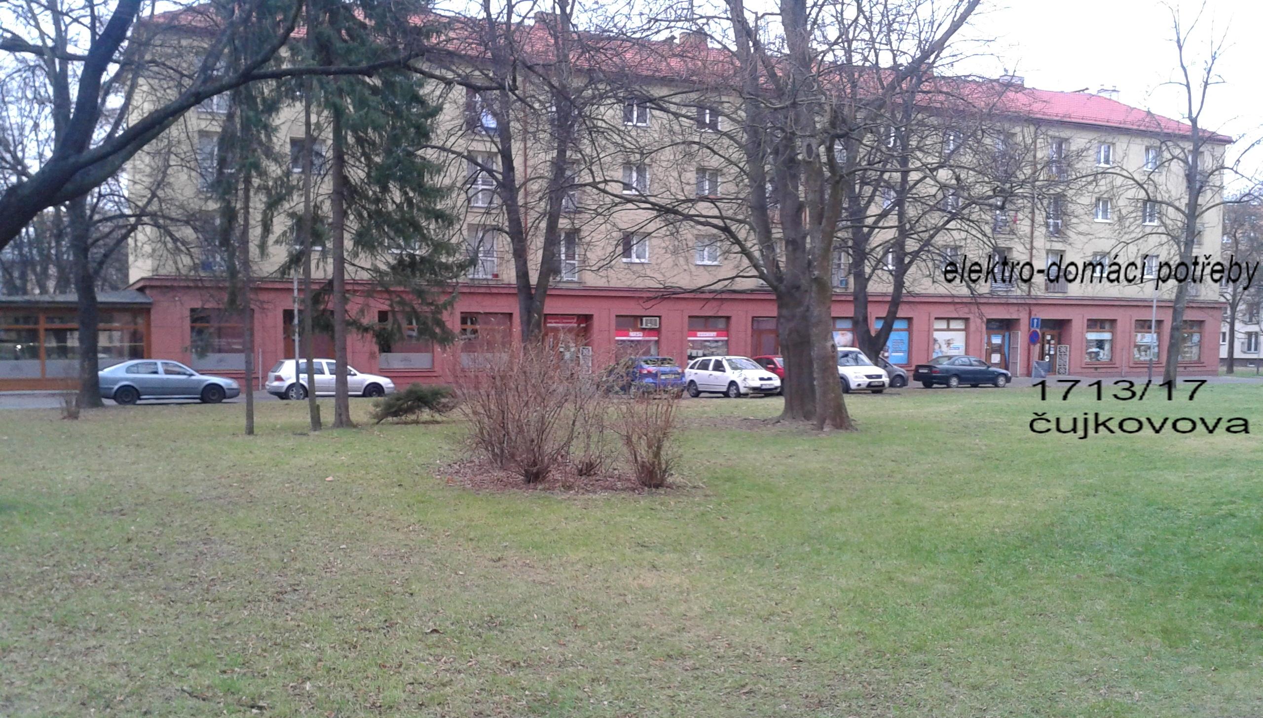 Alena Šebestová foto 2