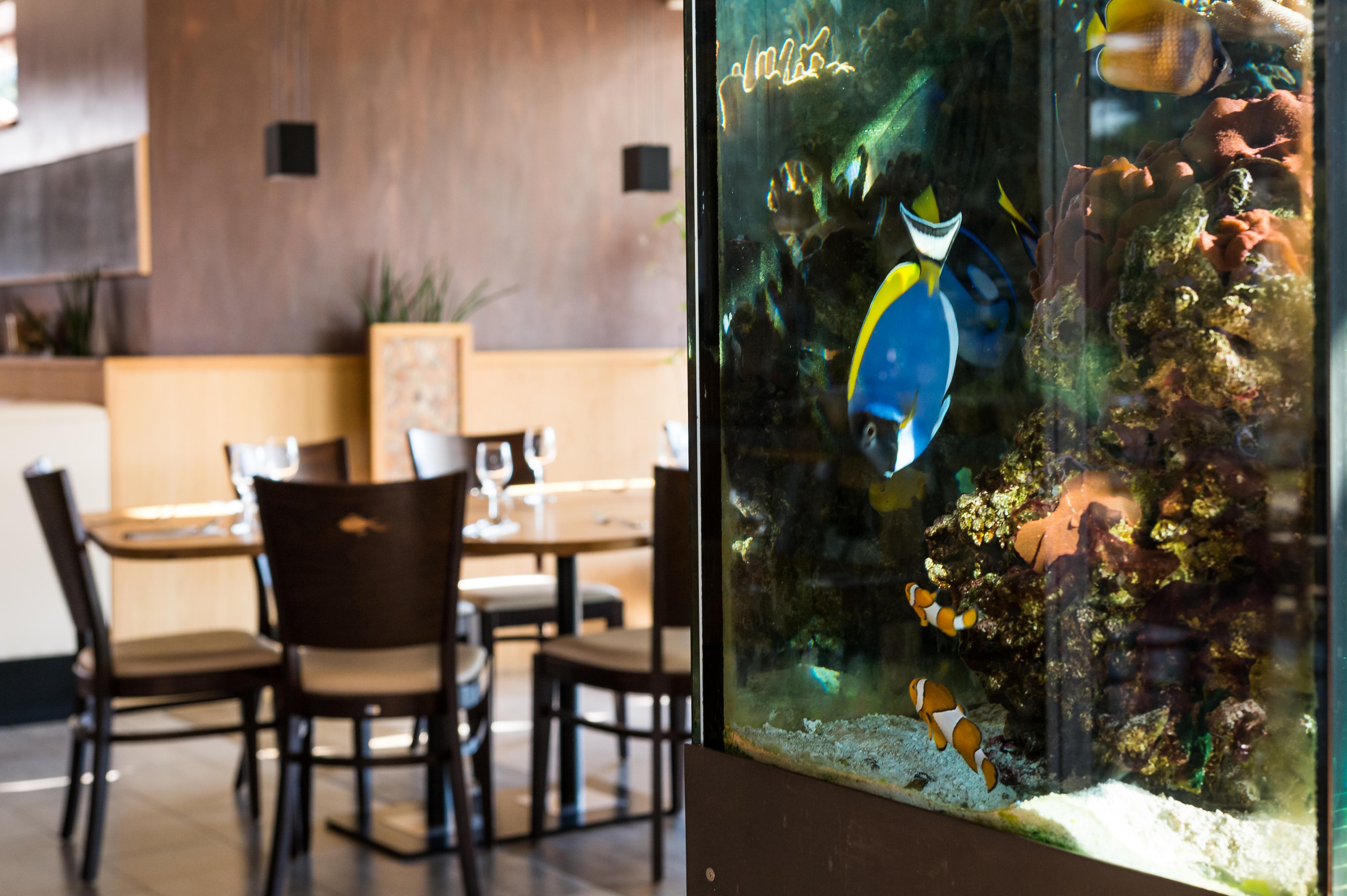 Restaurace Aquarium
