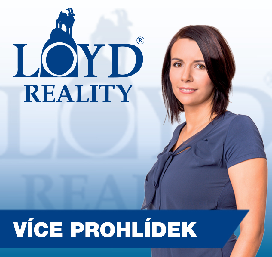 Loyd - reality foto 4