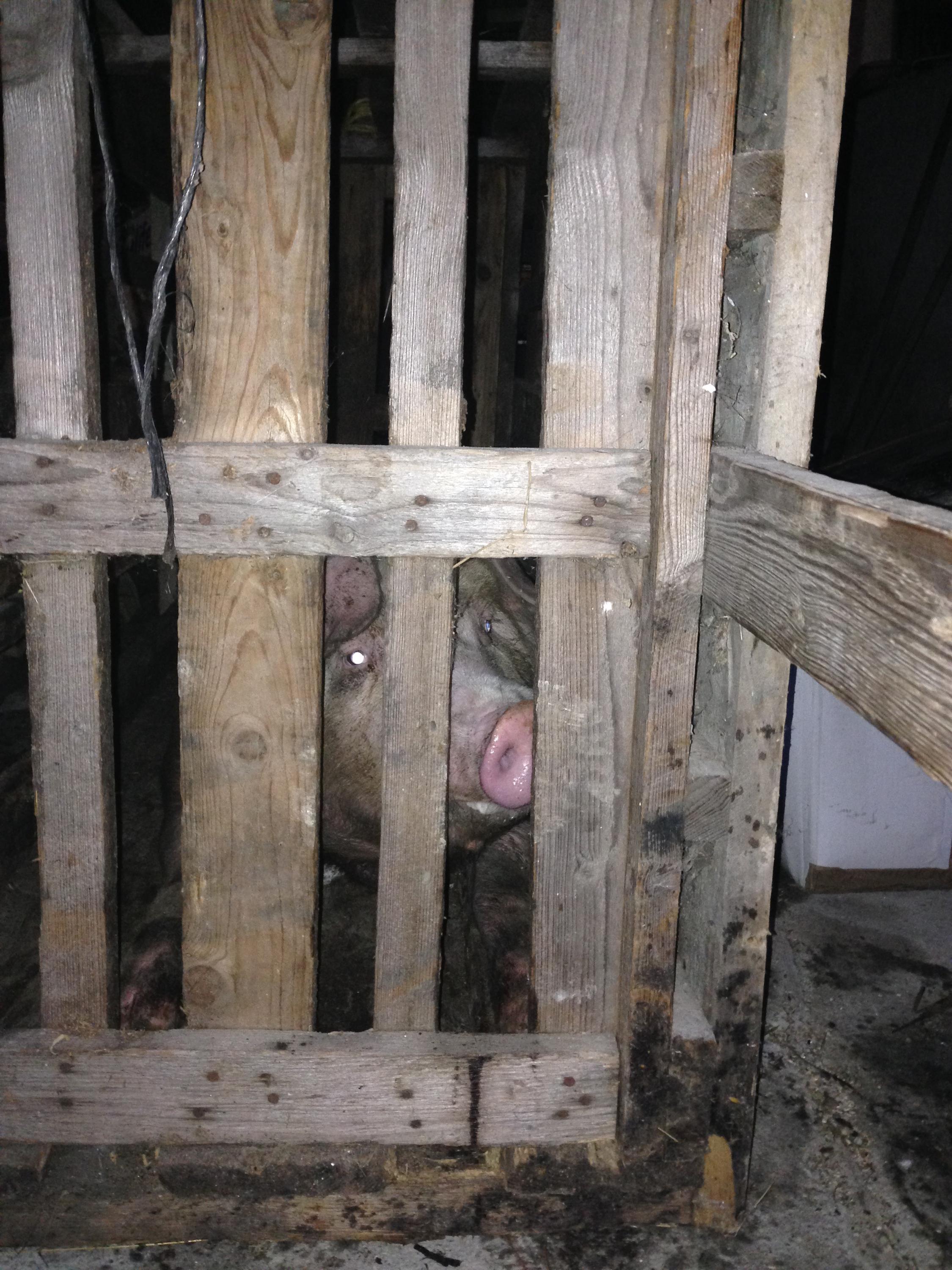 Brdská restaurace U Fabiána foto 2