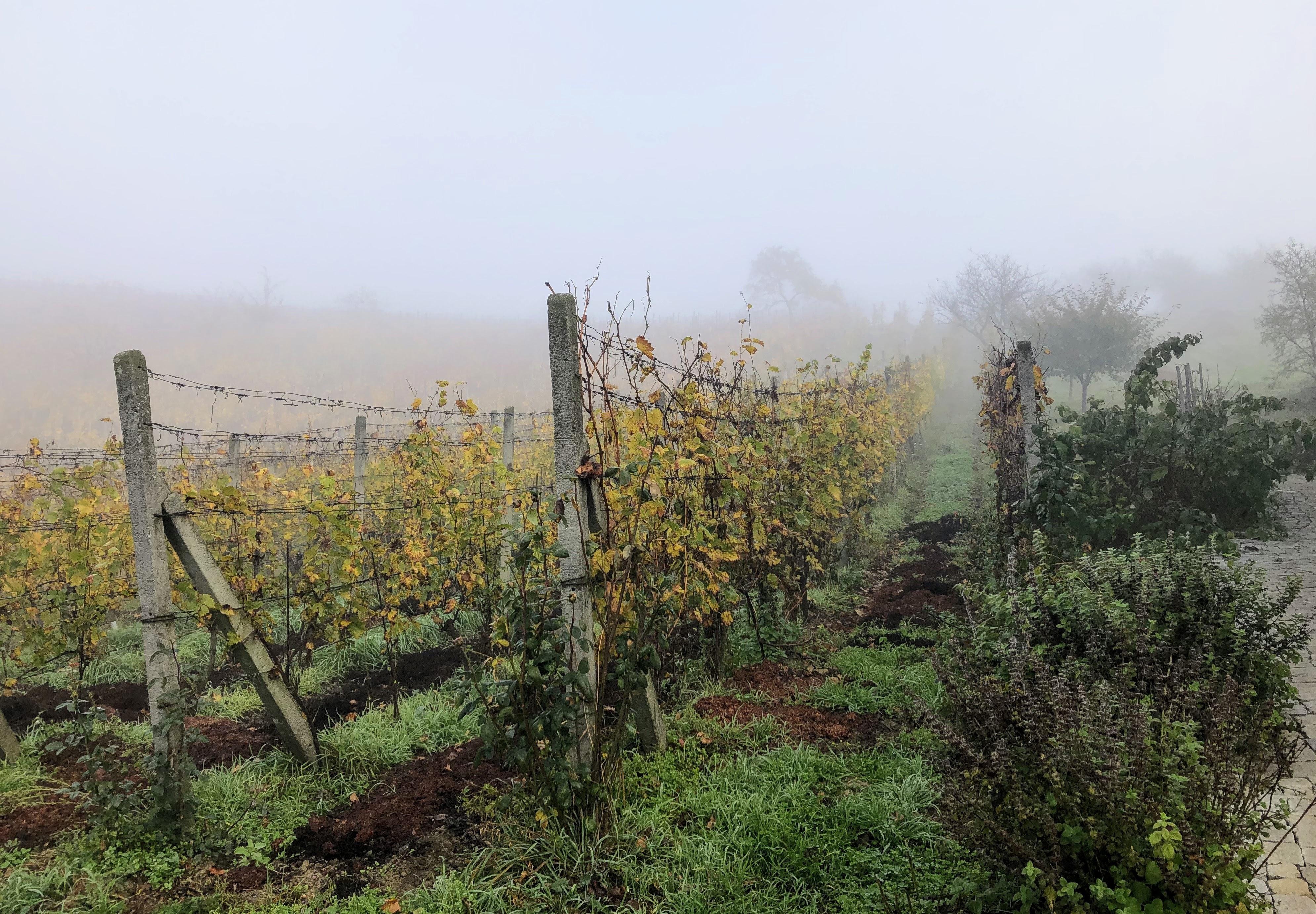 Dlúhé Grefty foto 3