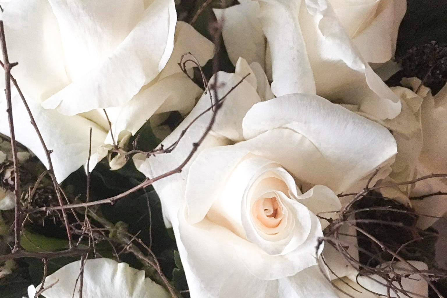 Jitka Beránková - Vytvoř si domov