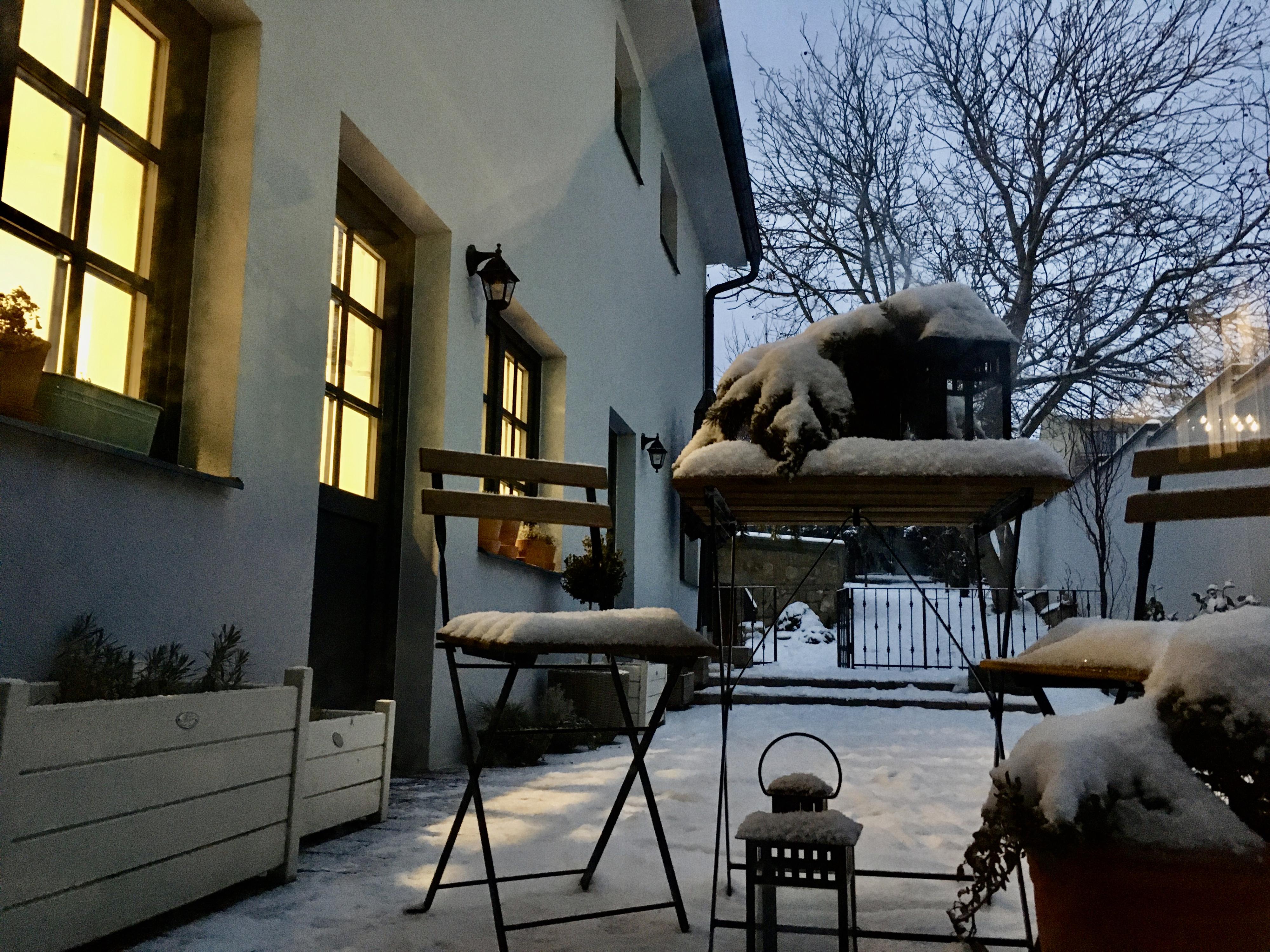 Cukrárna a kavárna no.31 foto 2