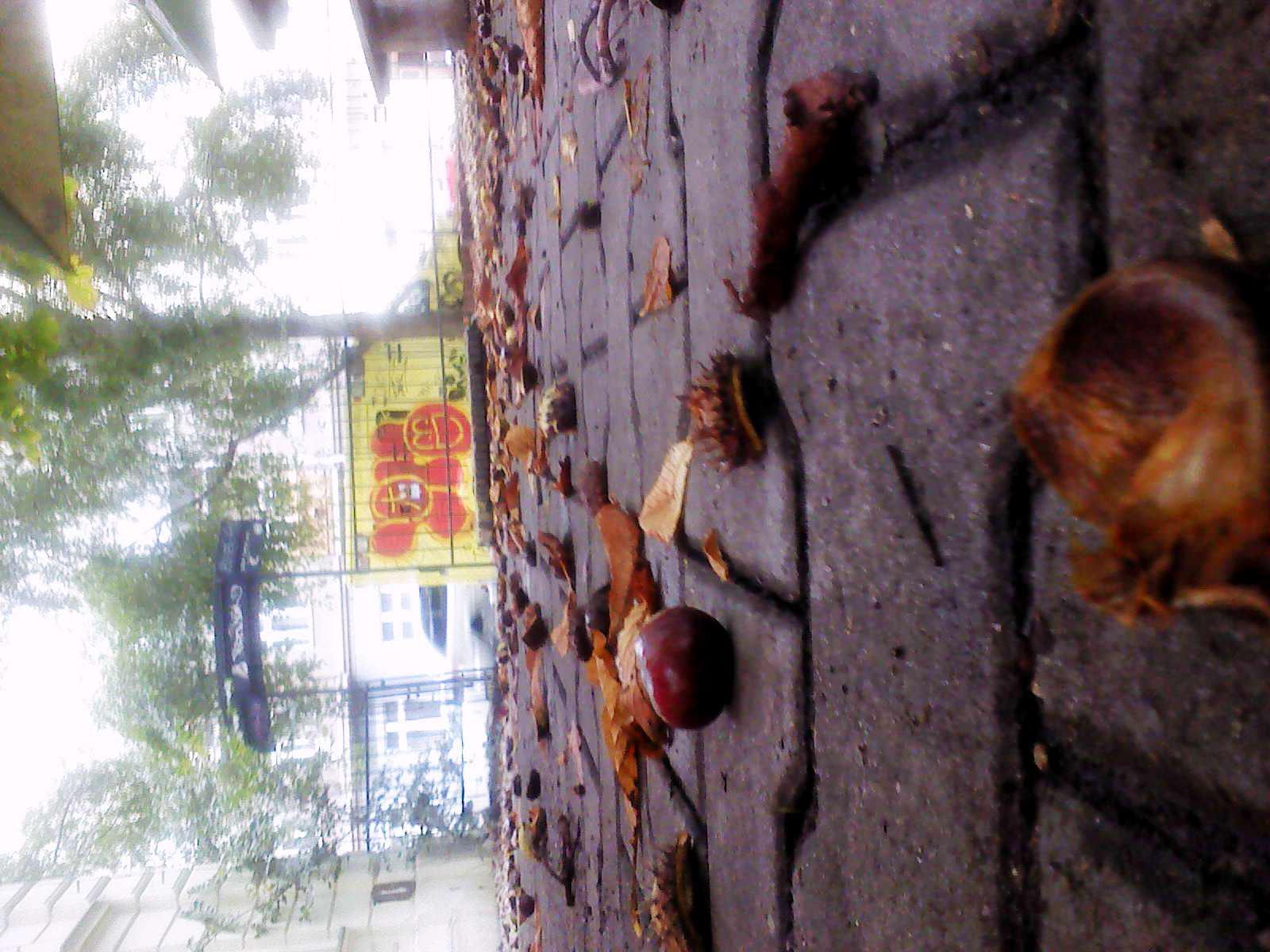 Restaurace Dejvické nádraží foto 2