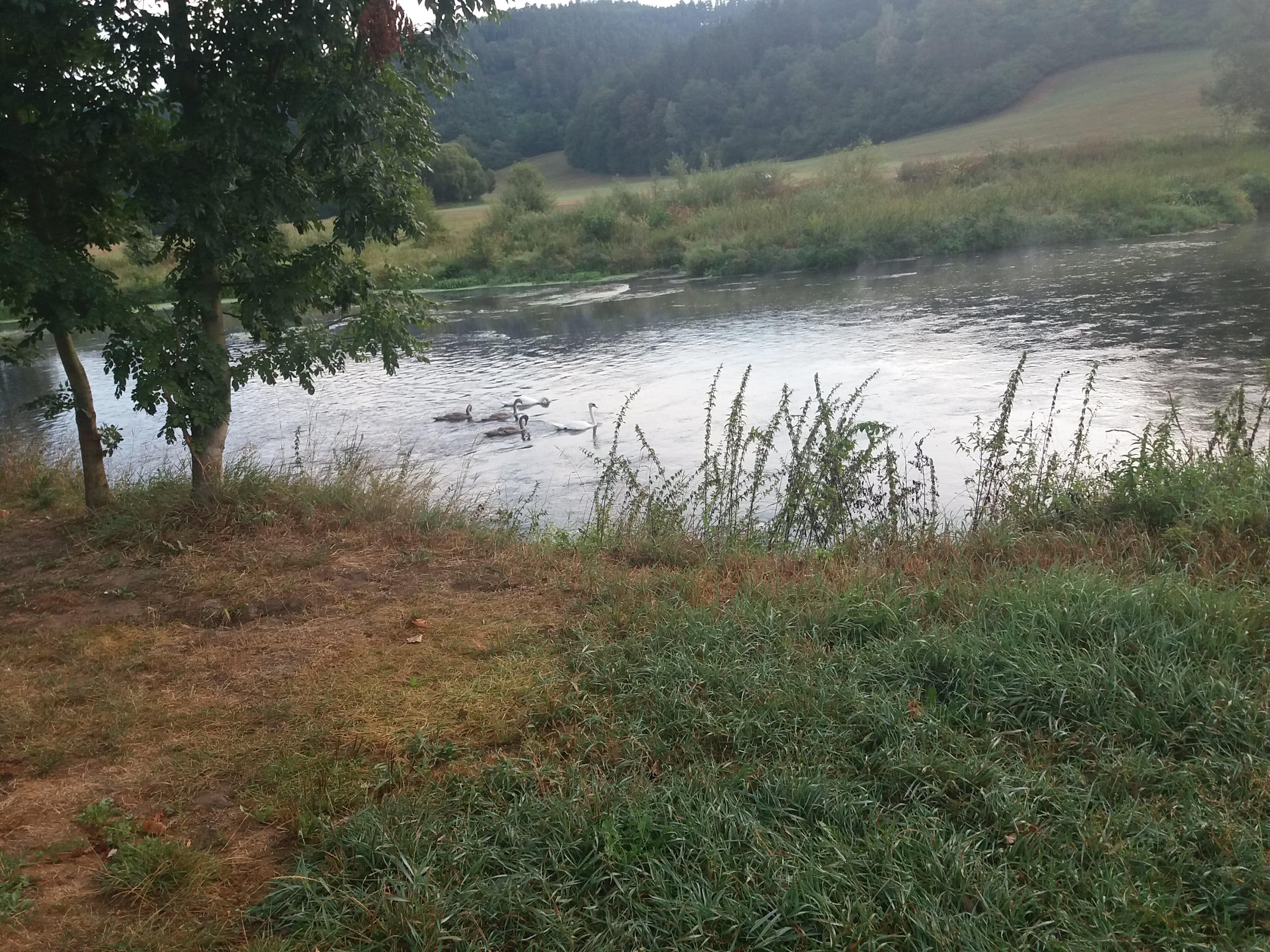 Kemp U Přívozu Nadryby foto 6