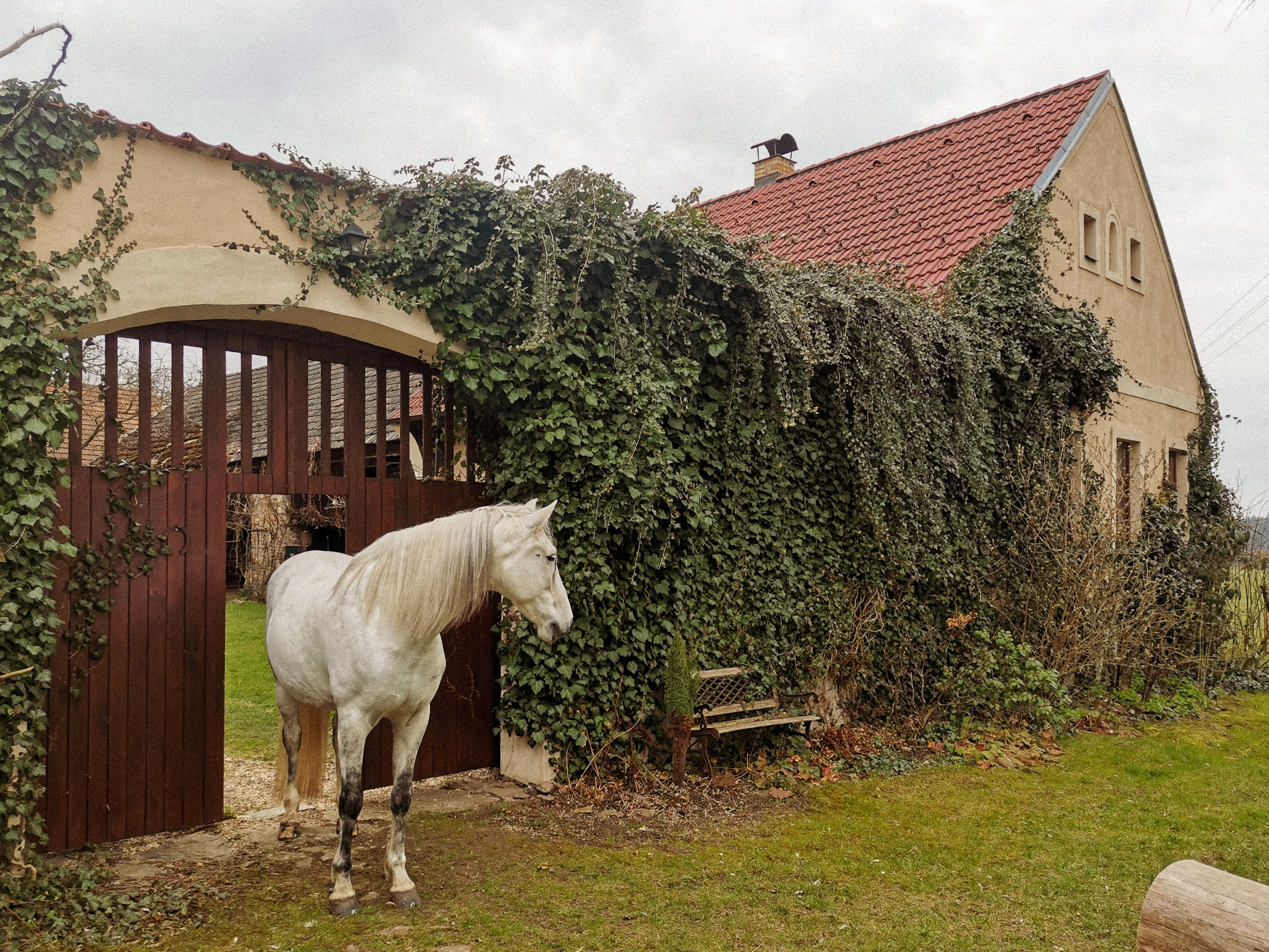 Apartmán U Bělouše foto 4