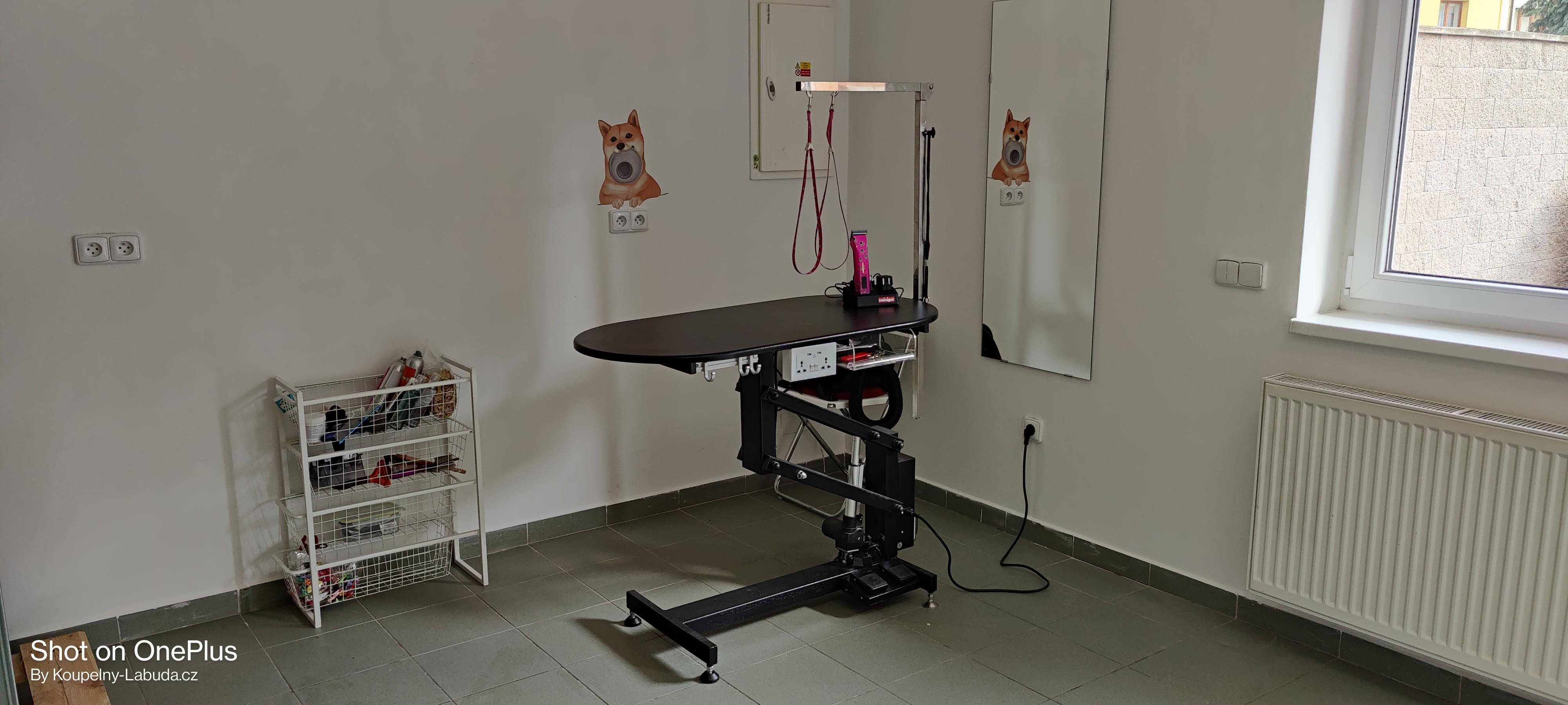Psí salon Megi foto 2