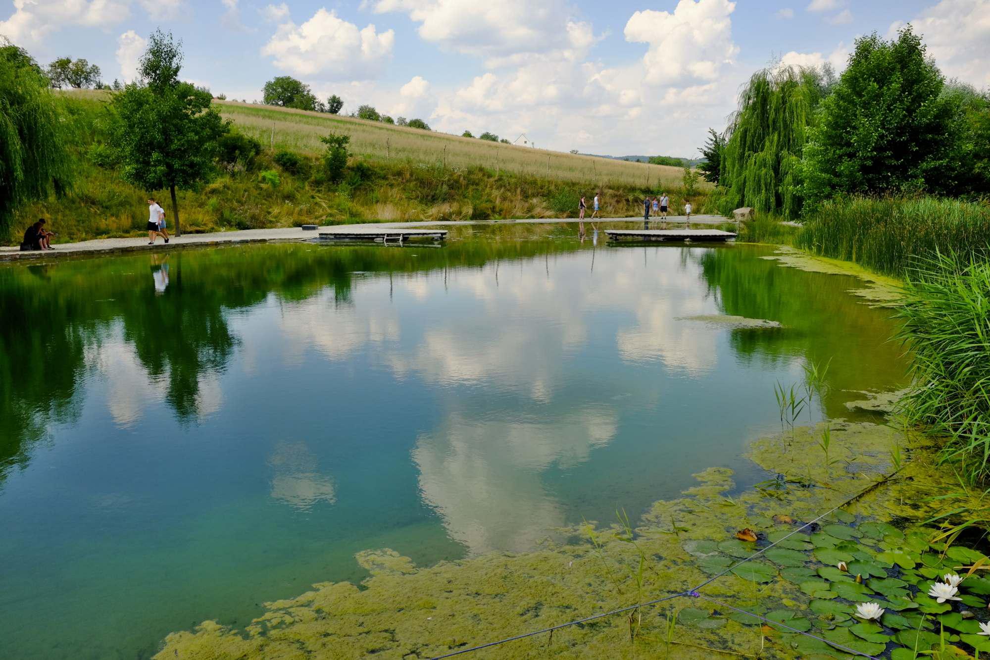 Přírodní koupací biotop Modrá foto 6