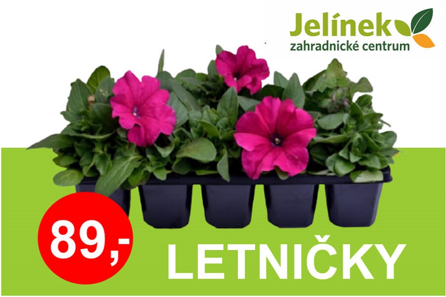 Letničky 10 pack 89 Kč