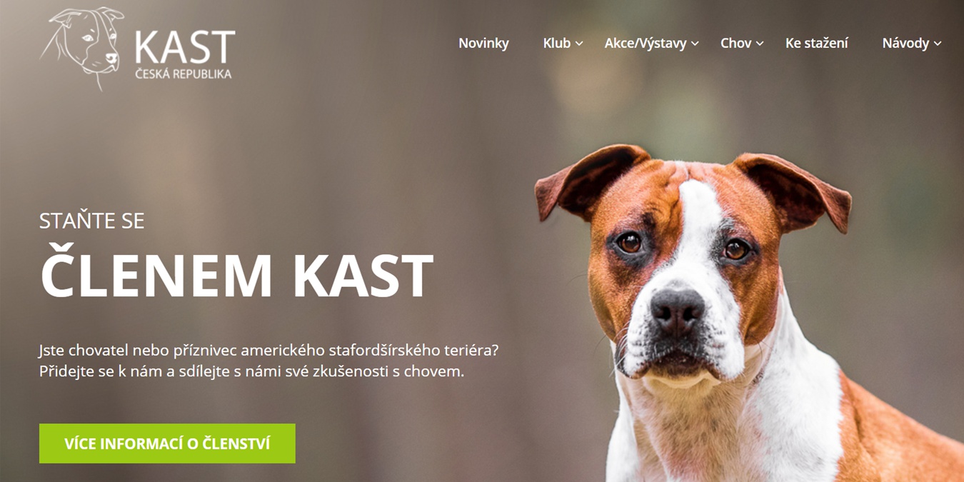 Proweby.cz foto 6