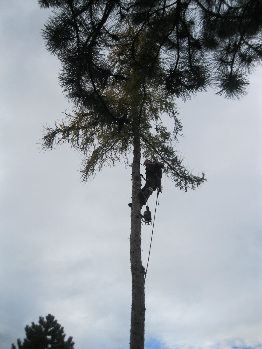 Výškové práce jižní Čechy foto 4