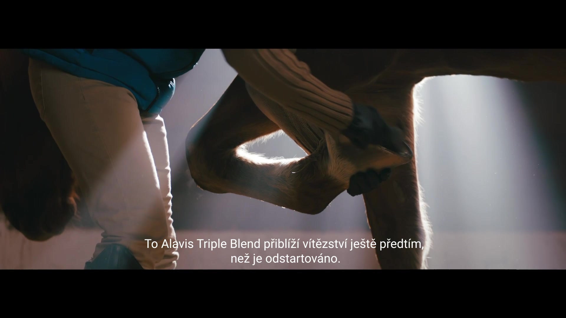 ALAVIS foto 2 (náhled videa)