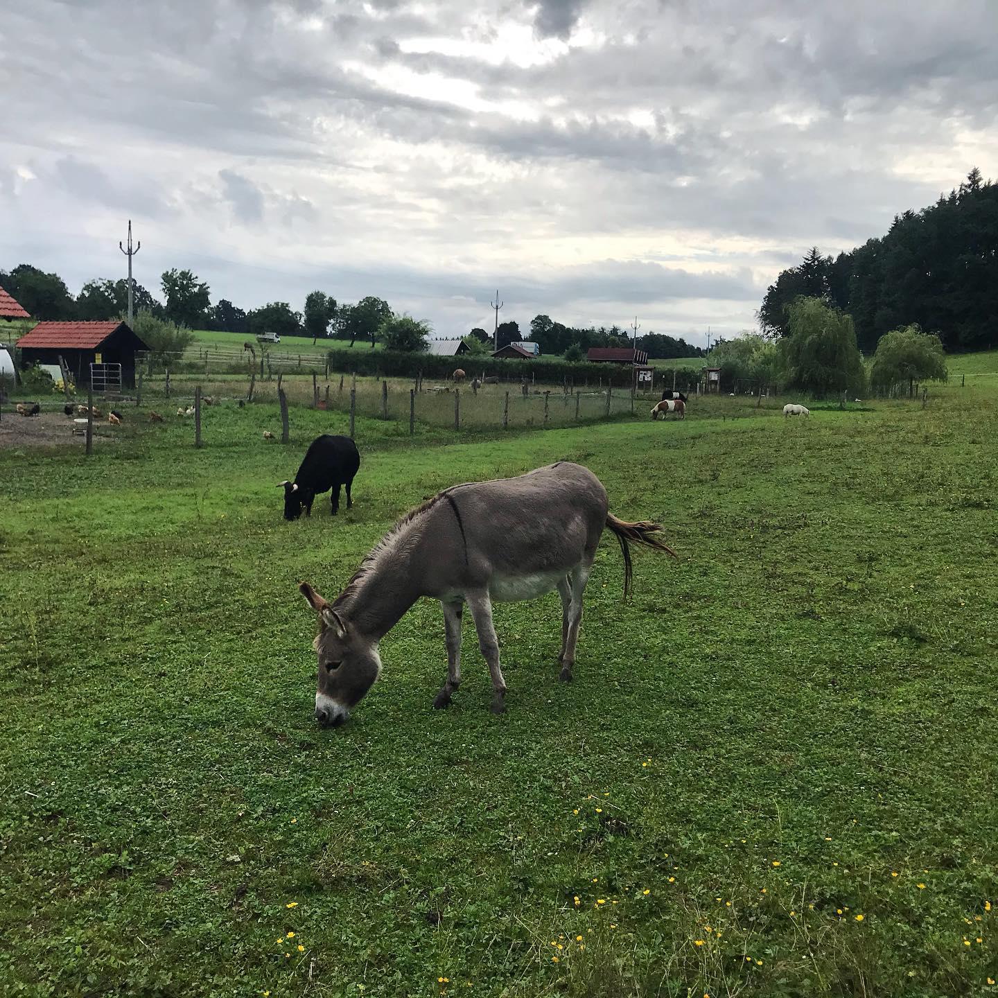 Babiččin statek foto 4