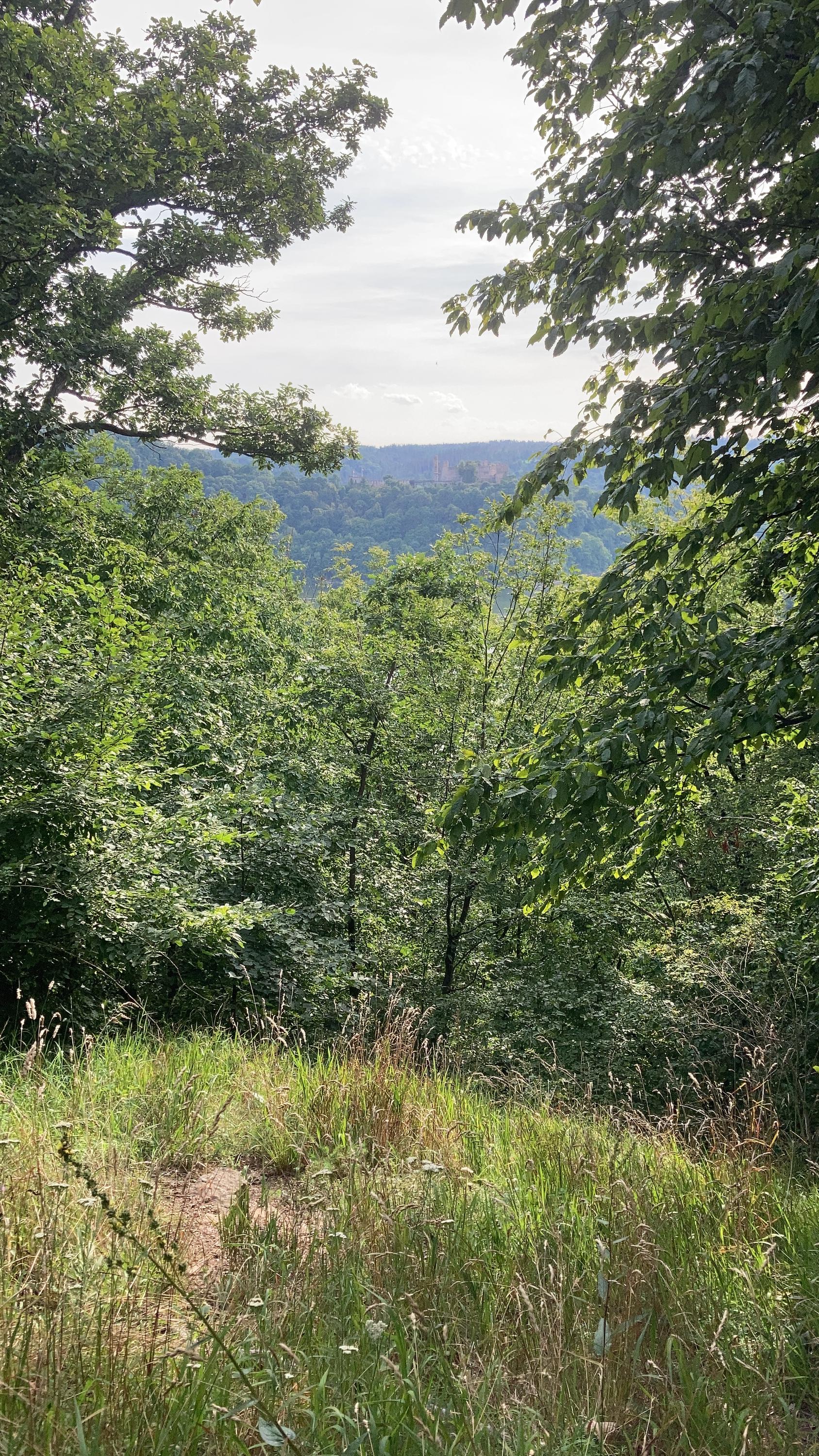 Penzion Karlštejn - restaurace foto 3