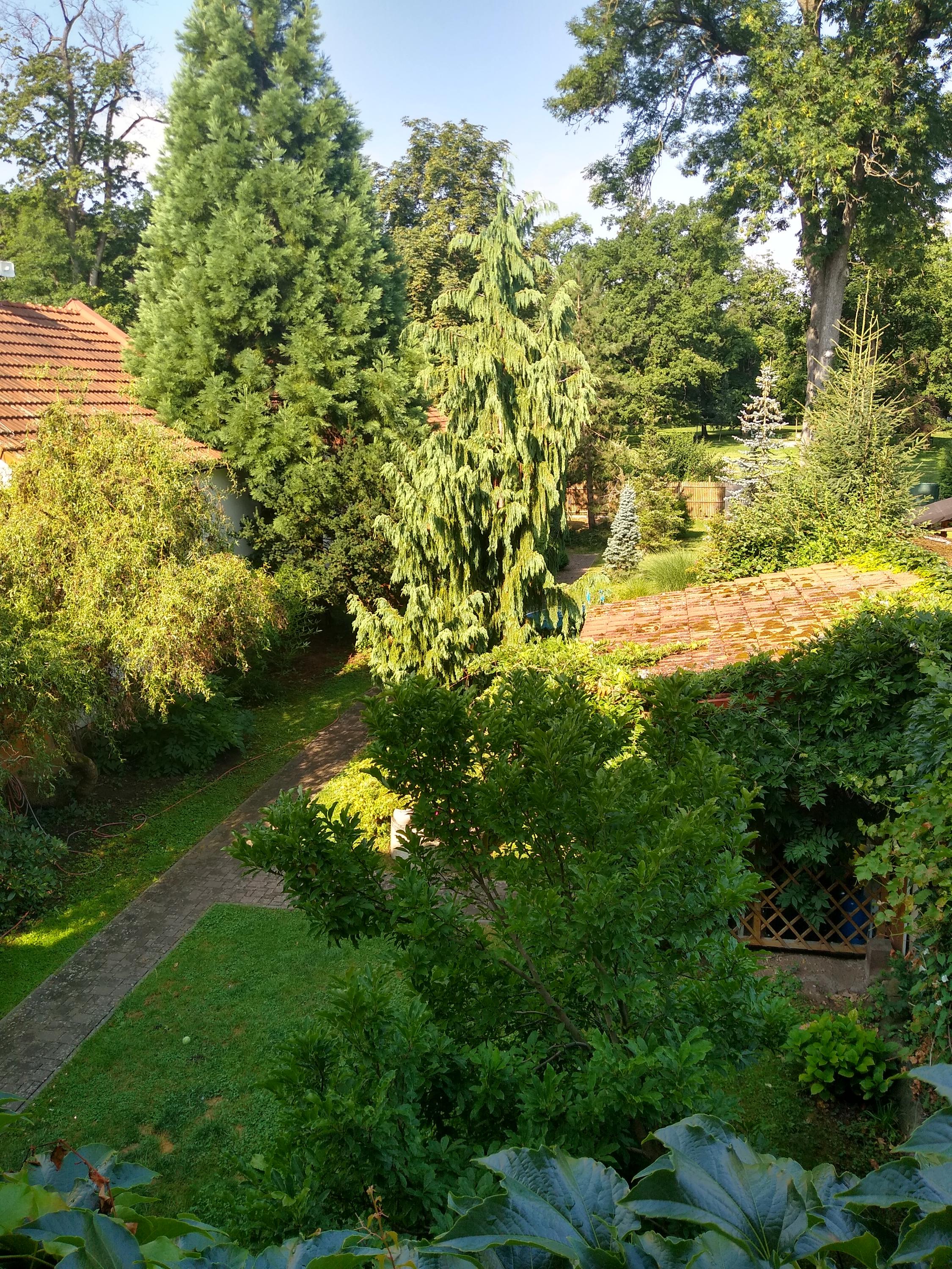 Penzion Zámecký park foto 2