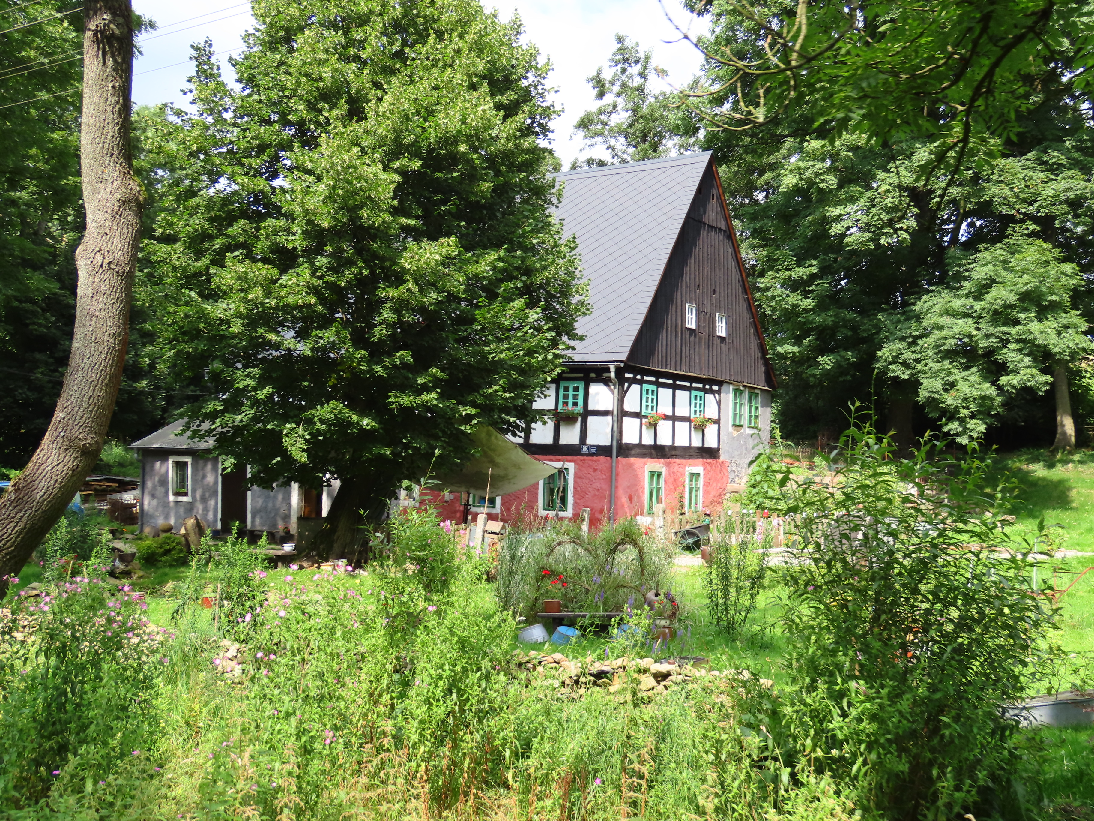 Grizzlochův mlýn foto 2