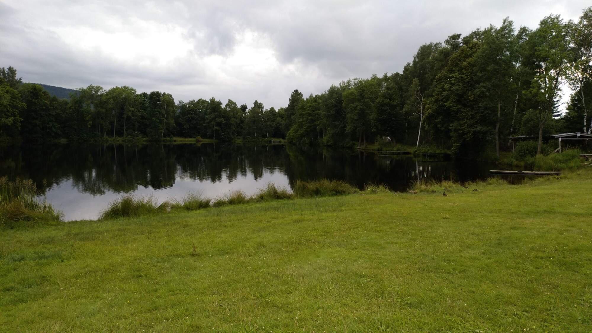 Kemp Singltrek Centrum foto 4