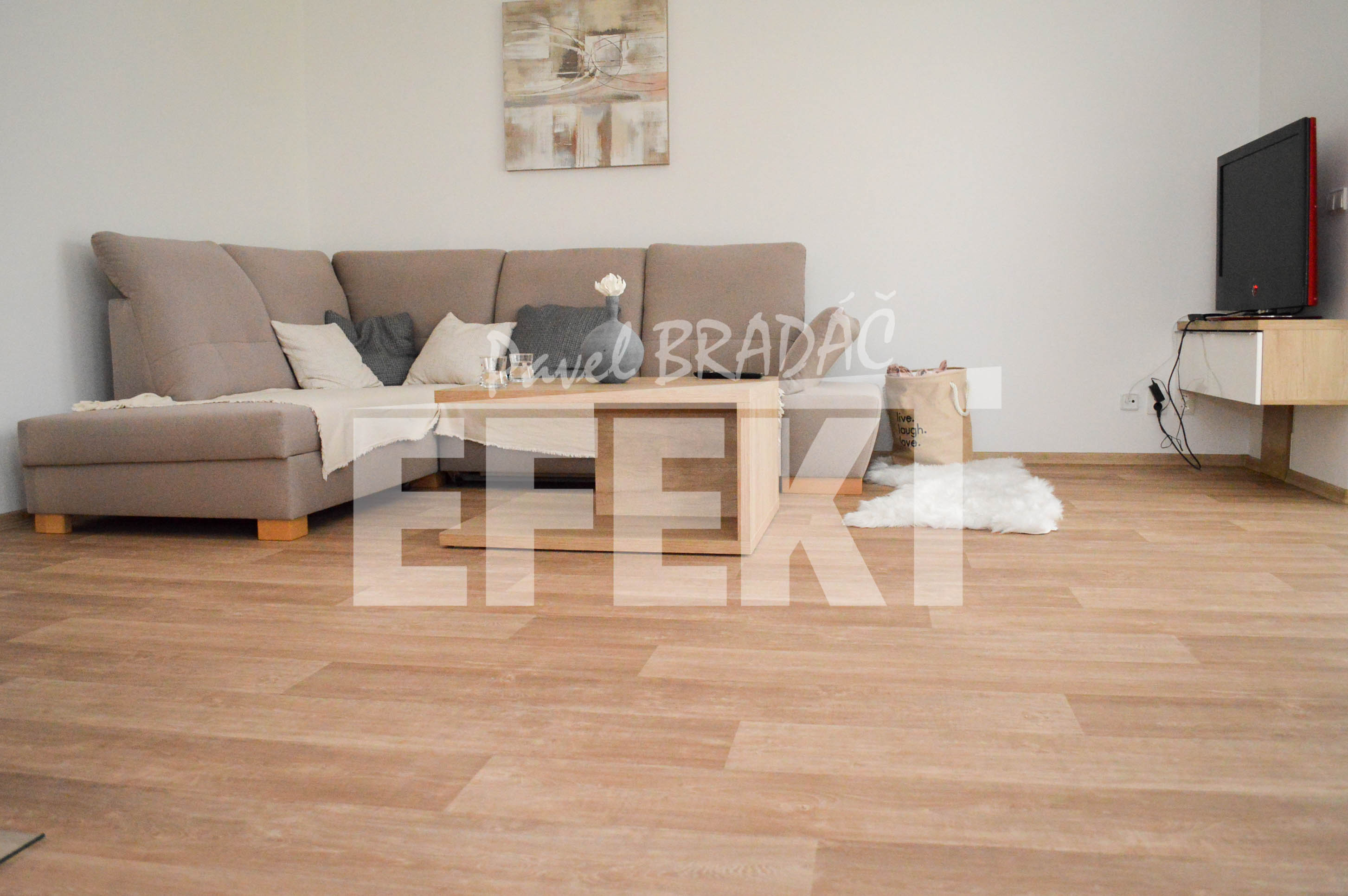 Pavel Bradáč - EFEKT foto 4