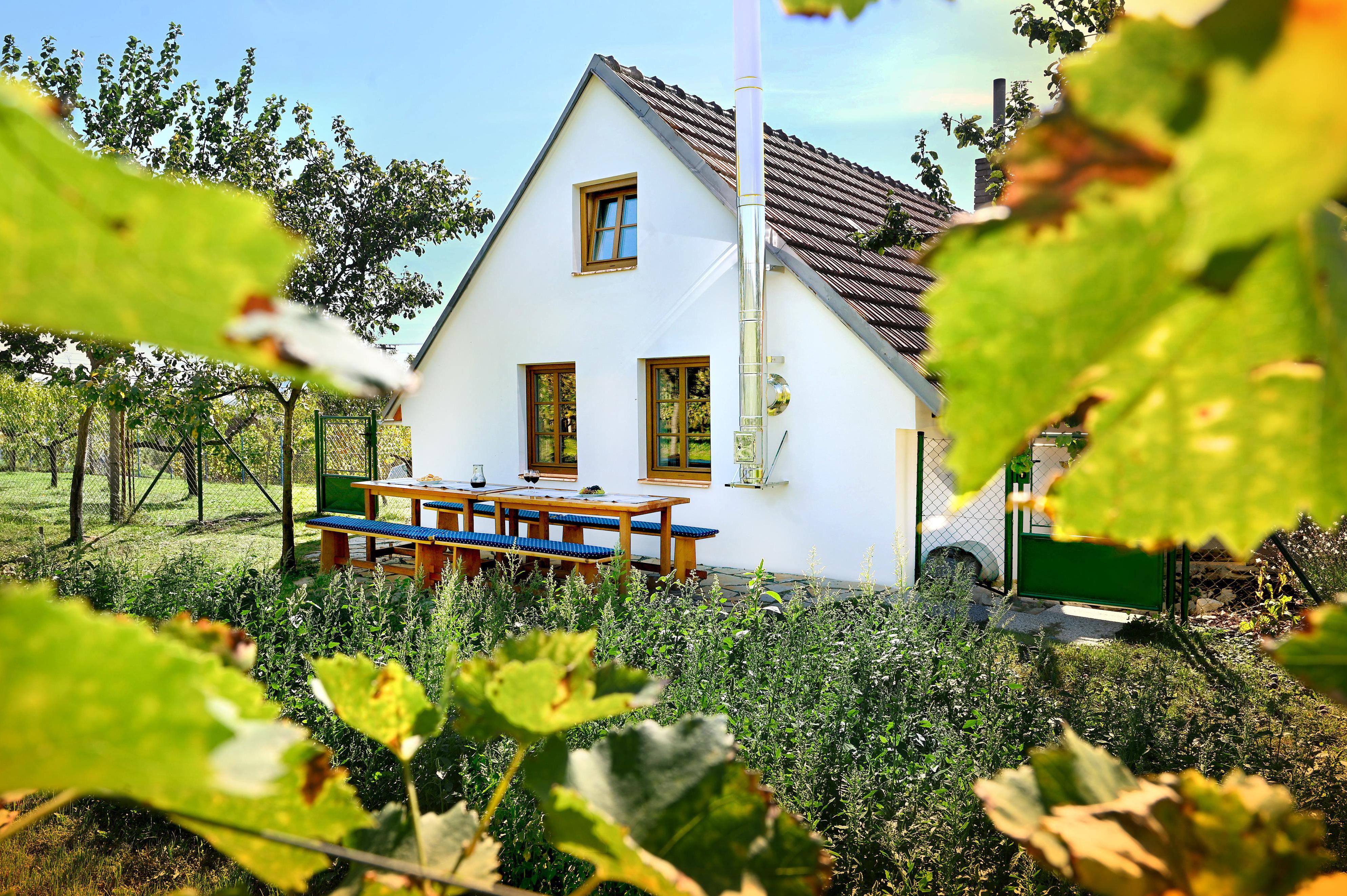 Vinný sklípek Blatnice foto 1