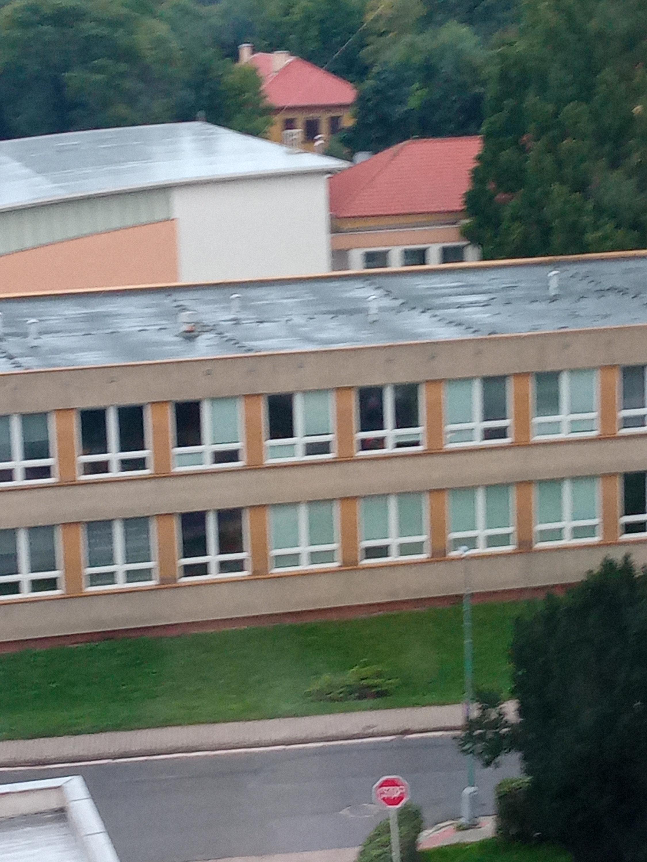 ZŠ Chvaletice foto 3