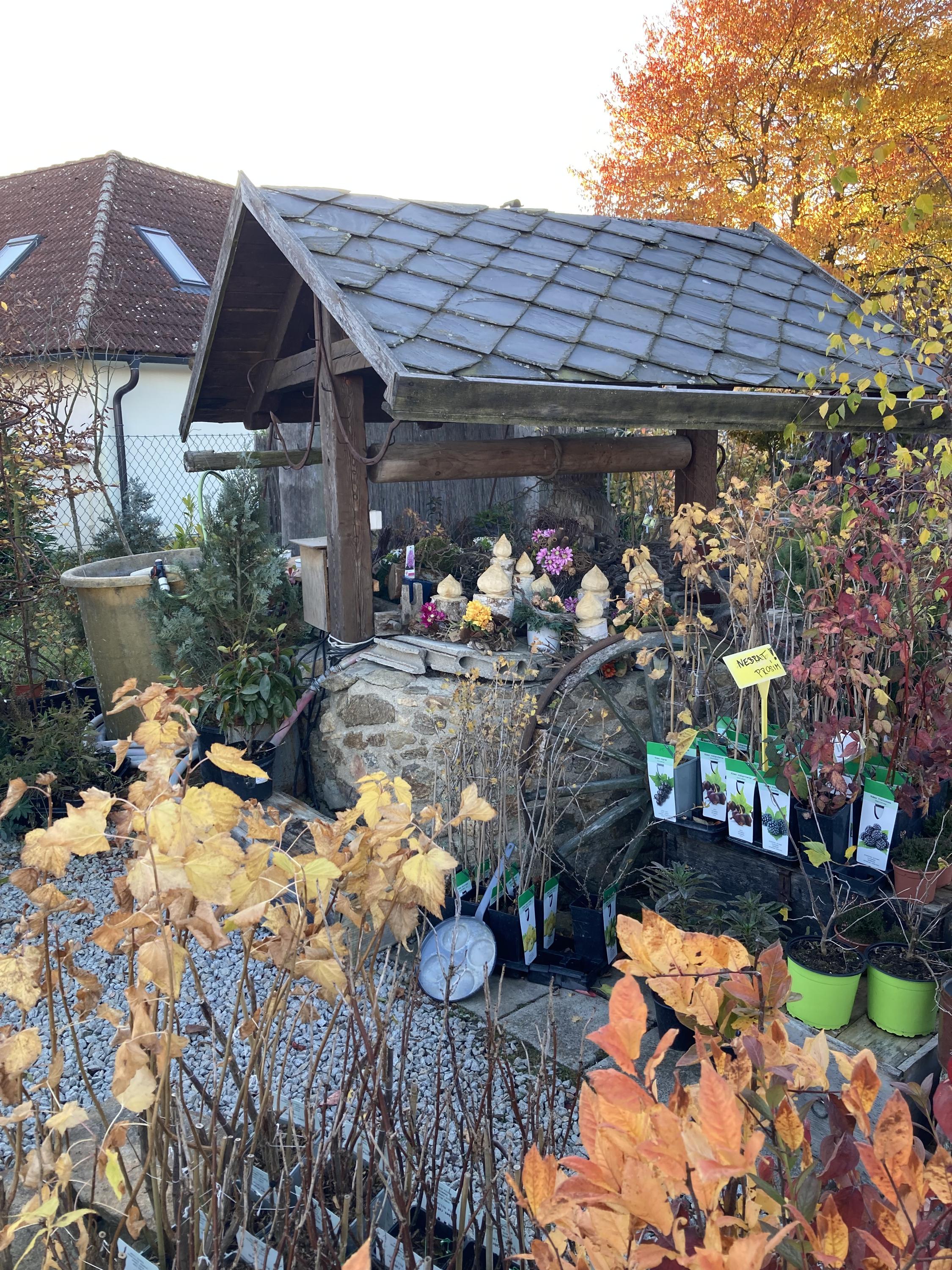 Zahrádka Popice u Jihlavy foto 2