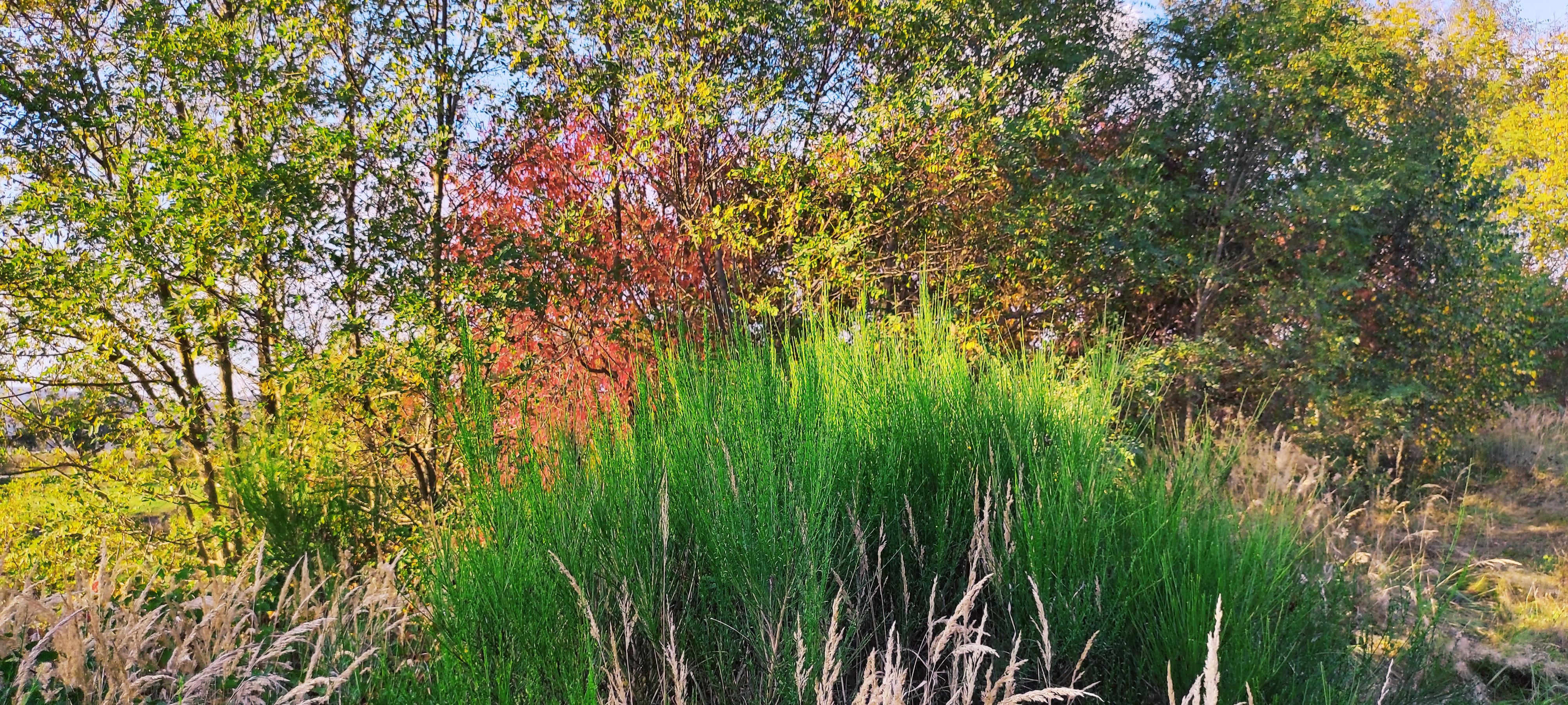 Silnice Klatovy, a.s. foto 6