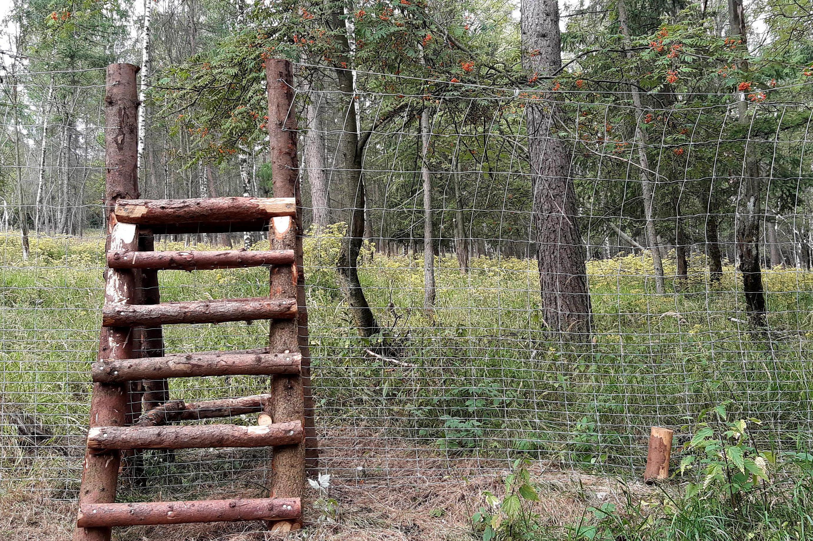 Lesní práce Dzurová