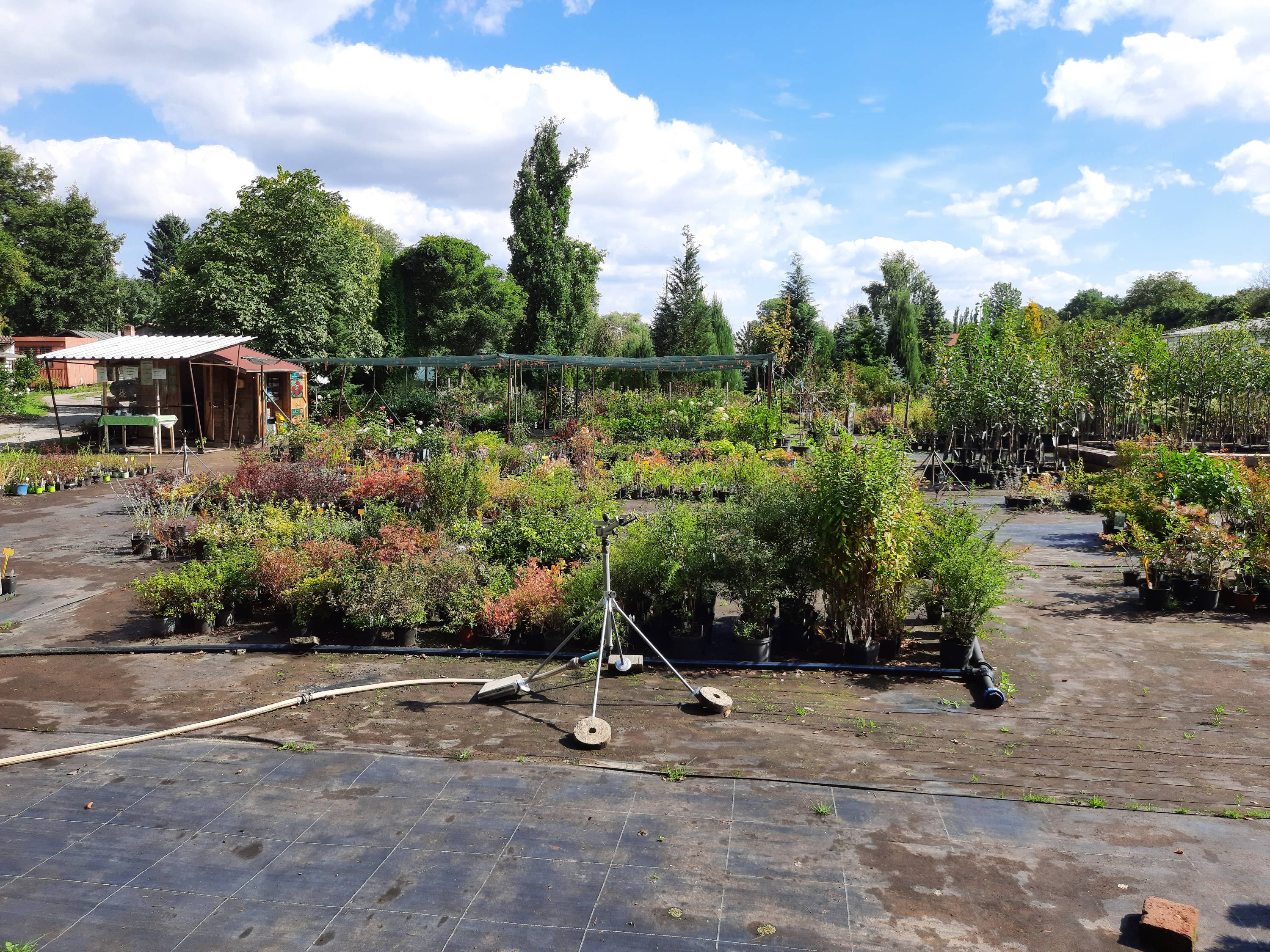 ARBO - zahradnictví, s.r.o. foto 6