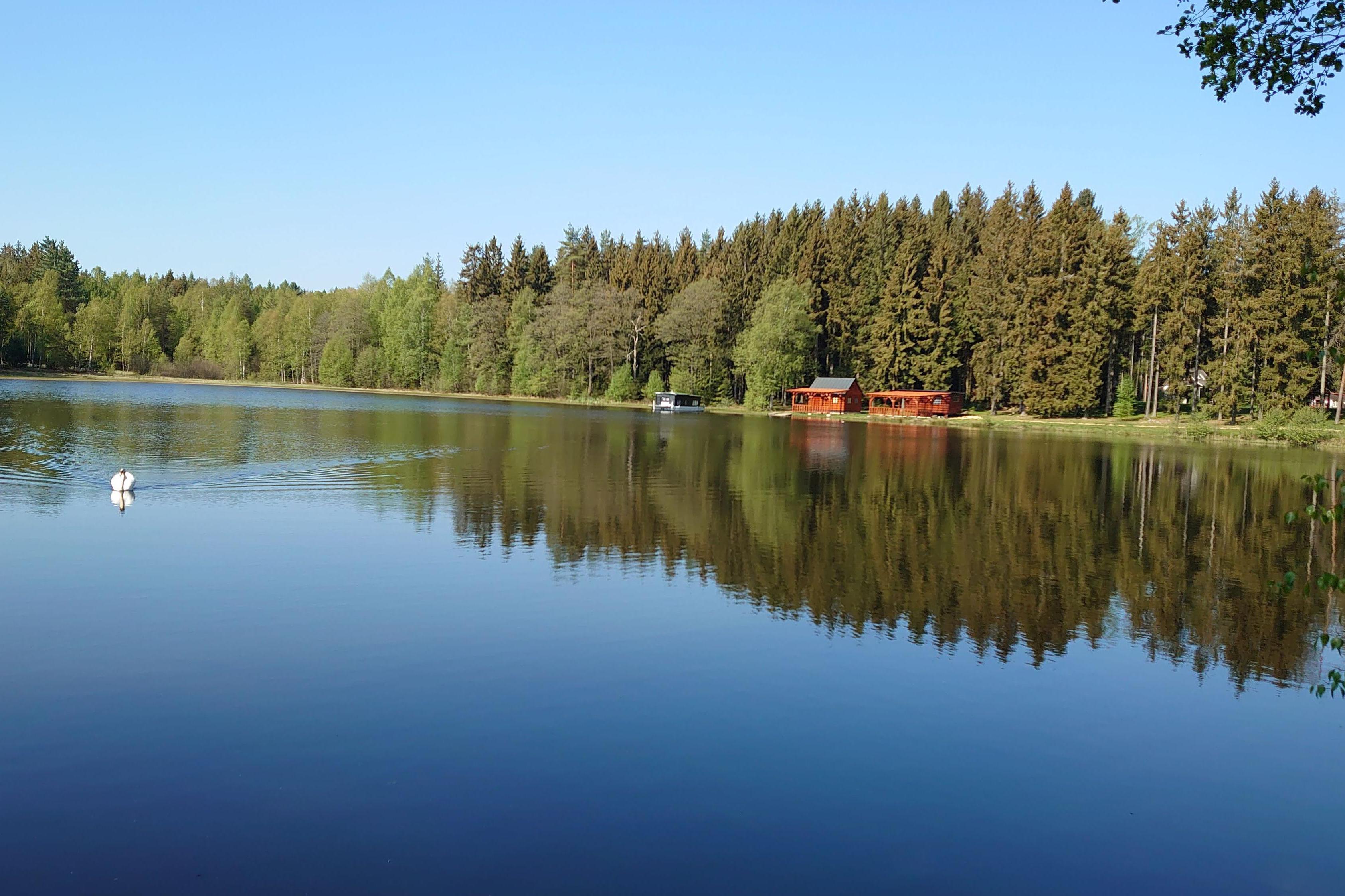 Rybník Nový u Studánky