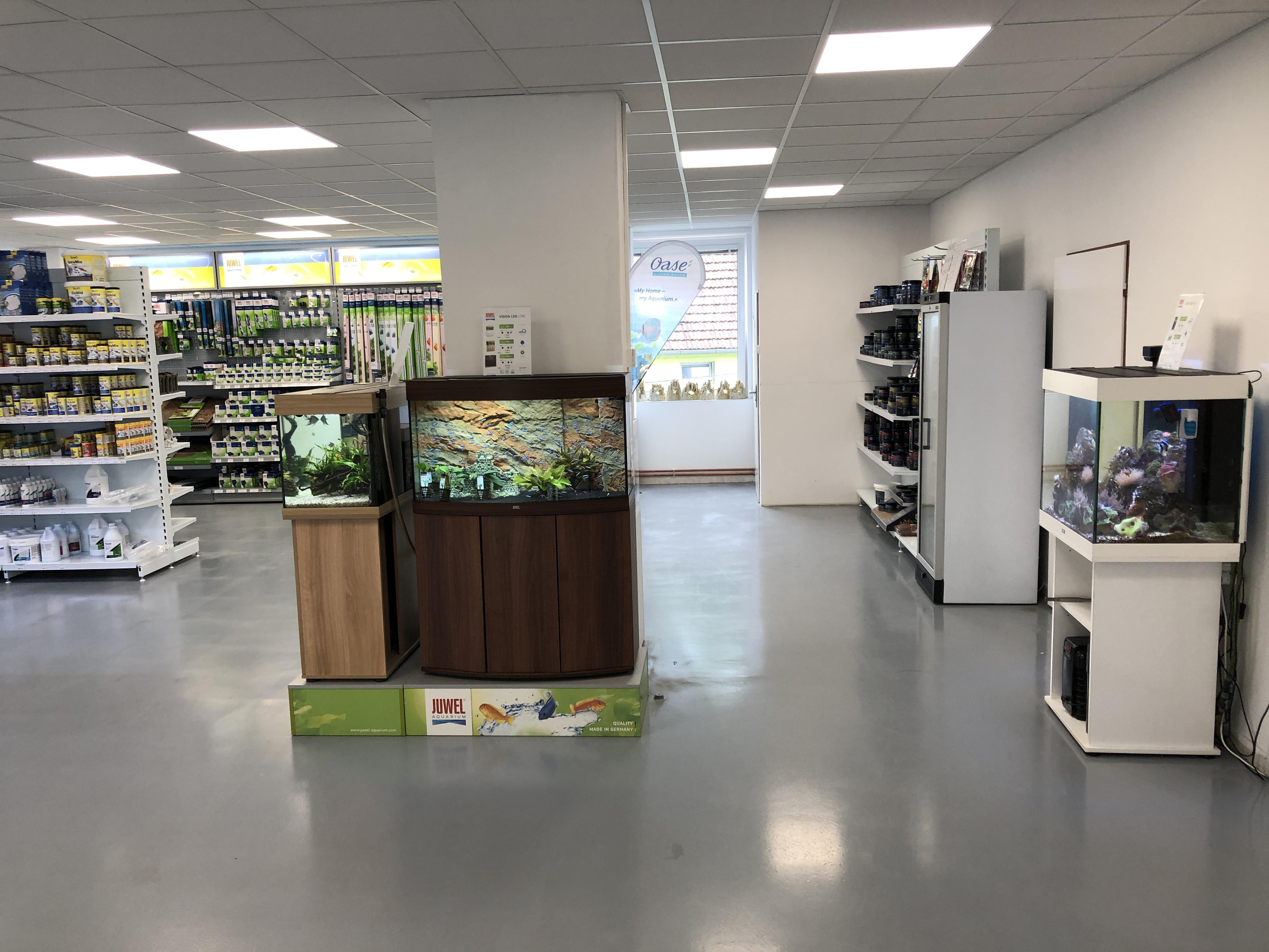 Juwelakvarium foto 4