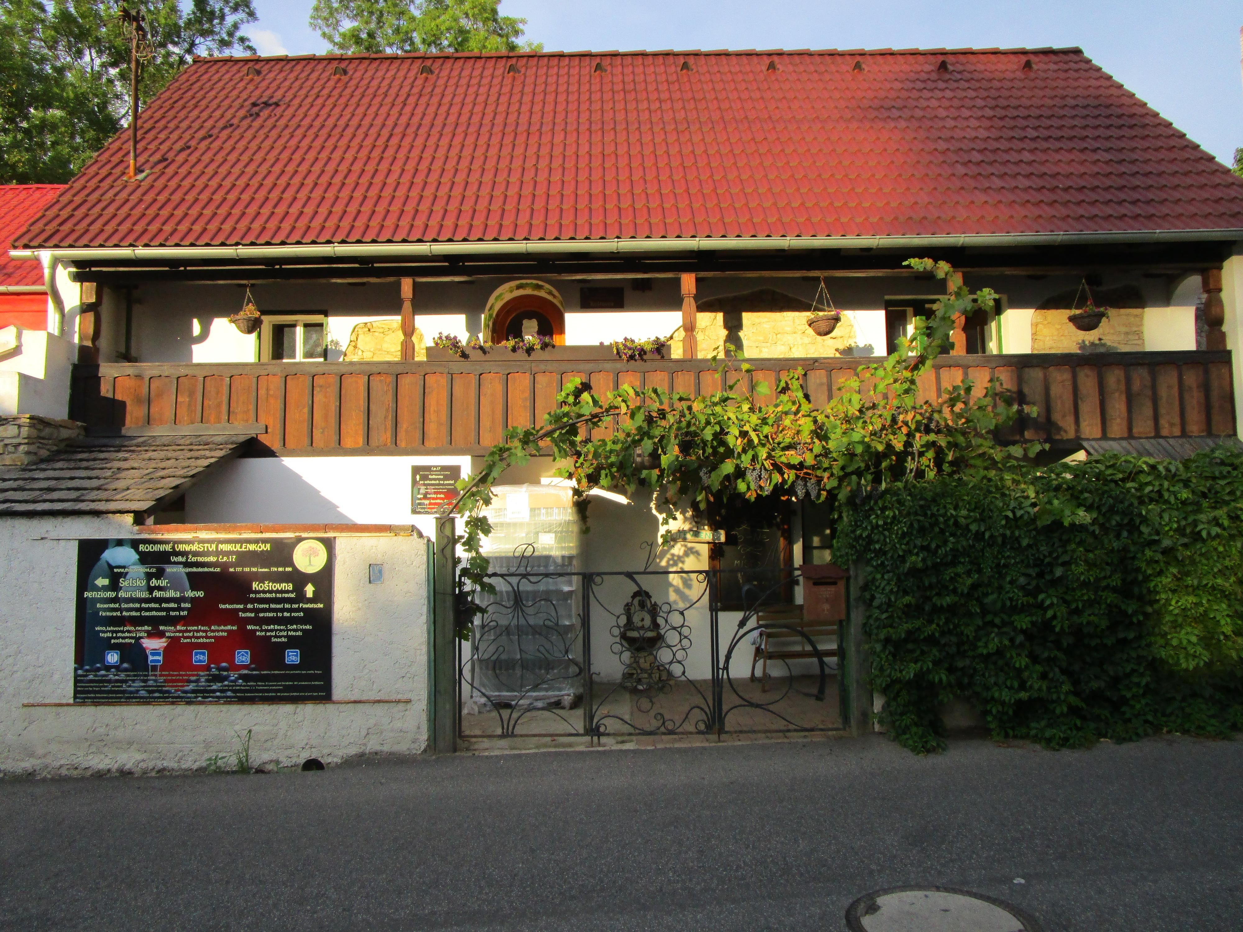 Rodinné vinařství Mikulenkovi foto 6
