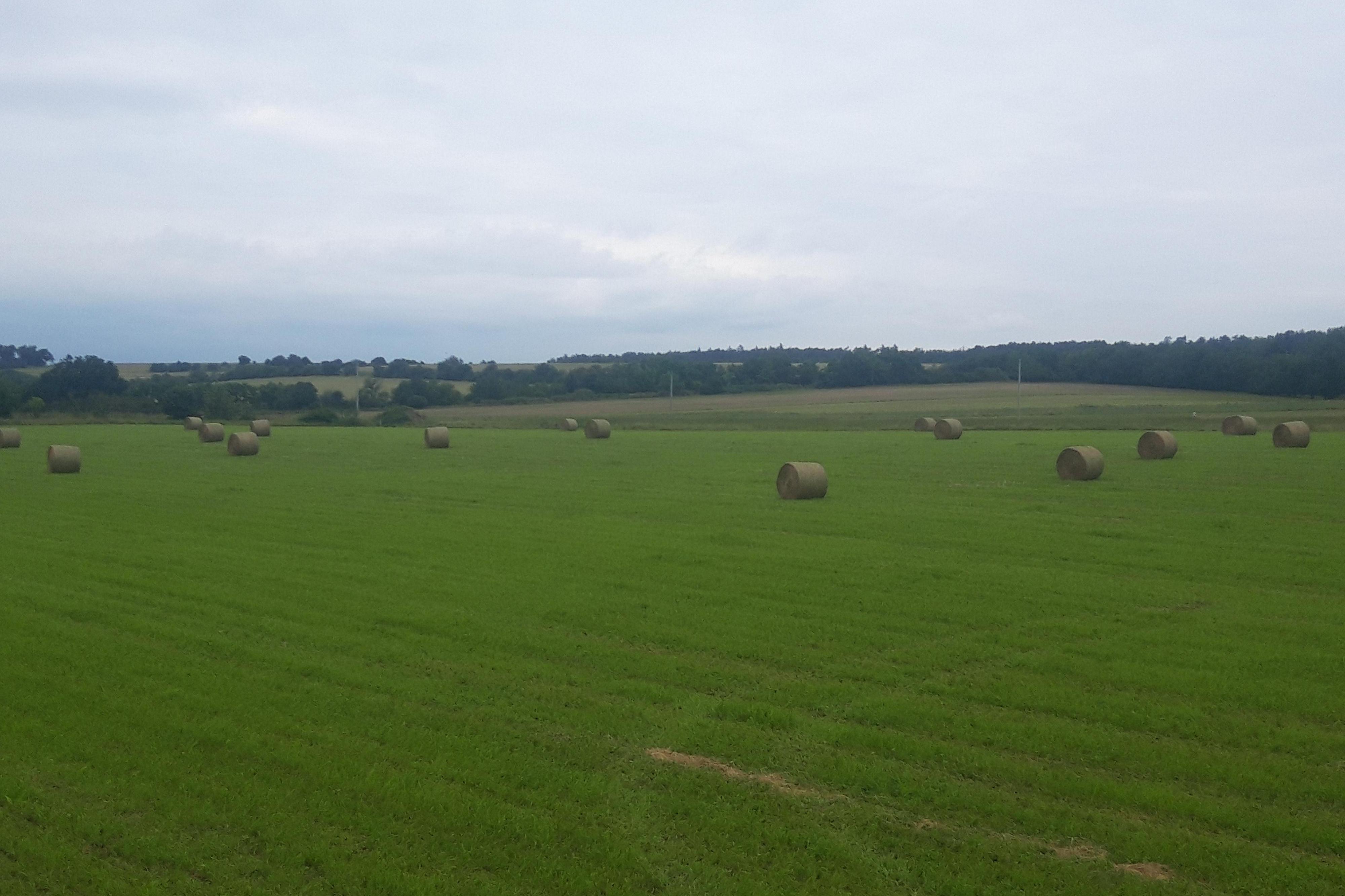 Výroba sena Martin Hyka