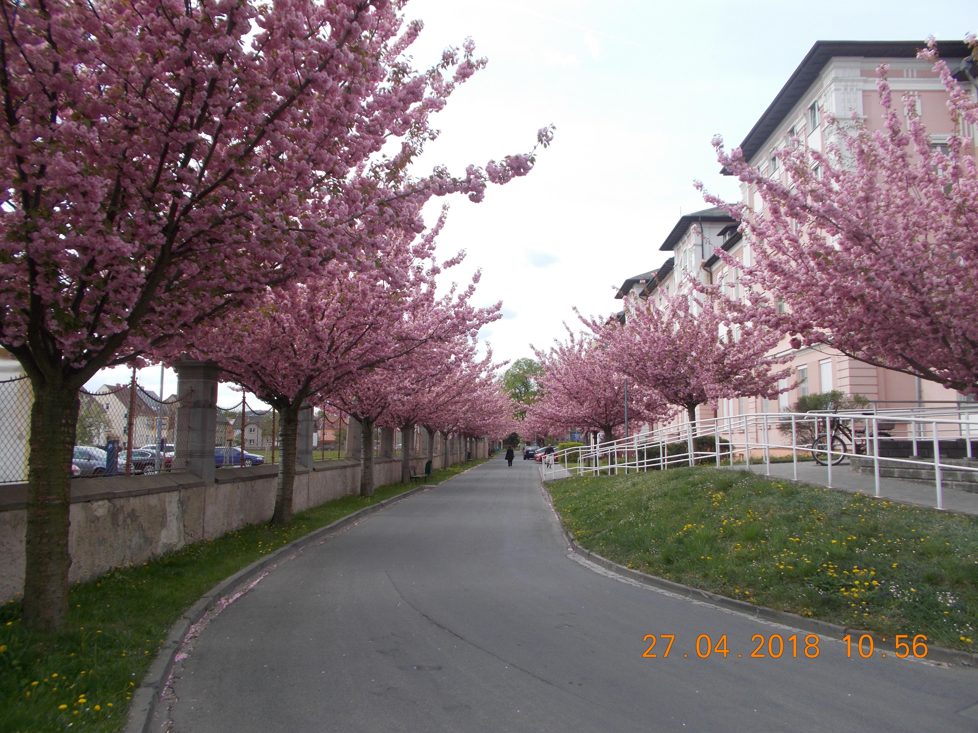 Moravskoslezská nemocnice Krnov foto 5