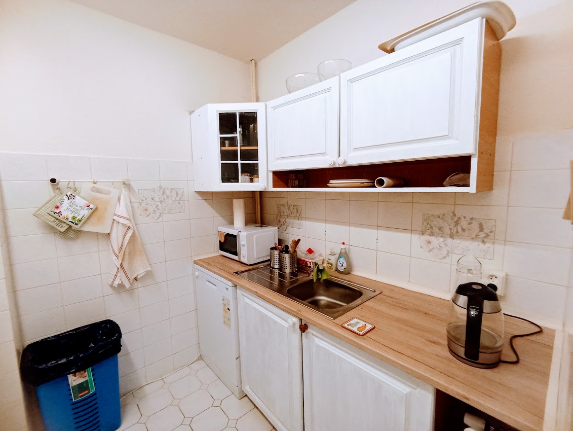 ELVIS - jazyková škola foto 4