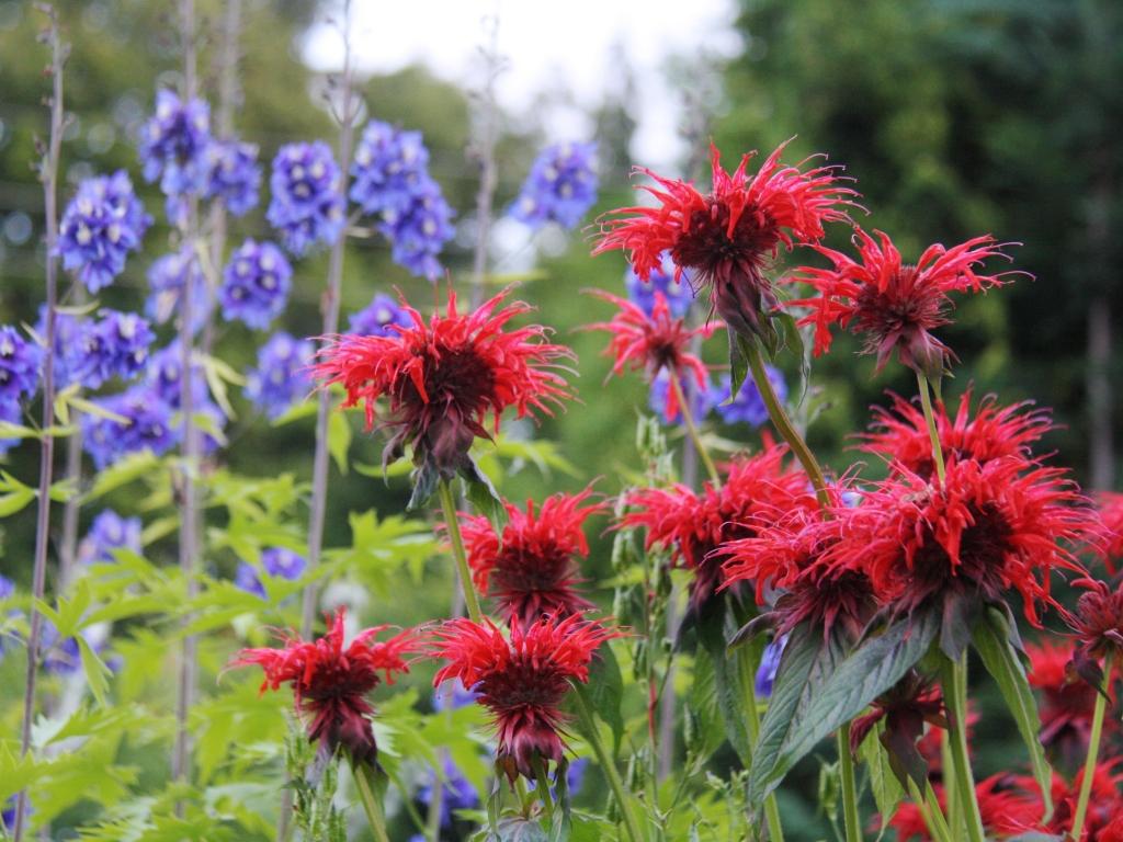 Zahrady s Vojtou foto 2