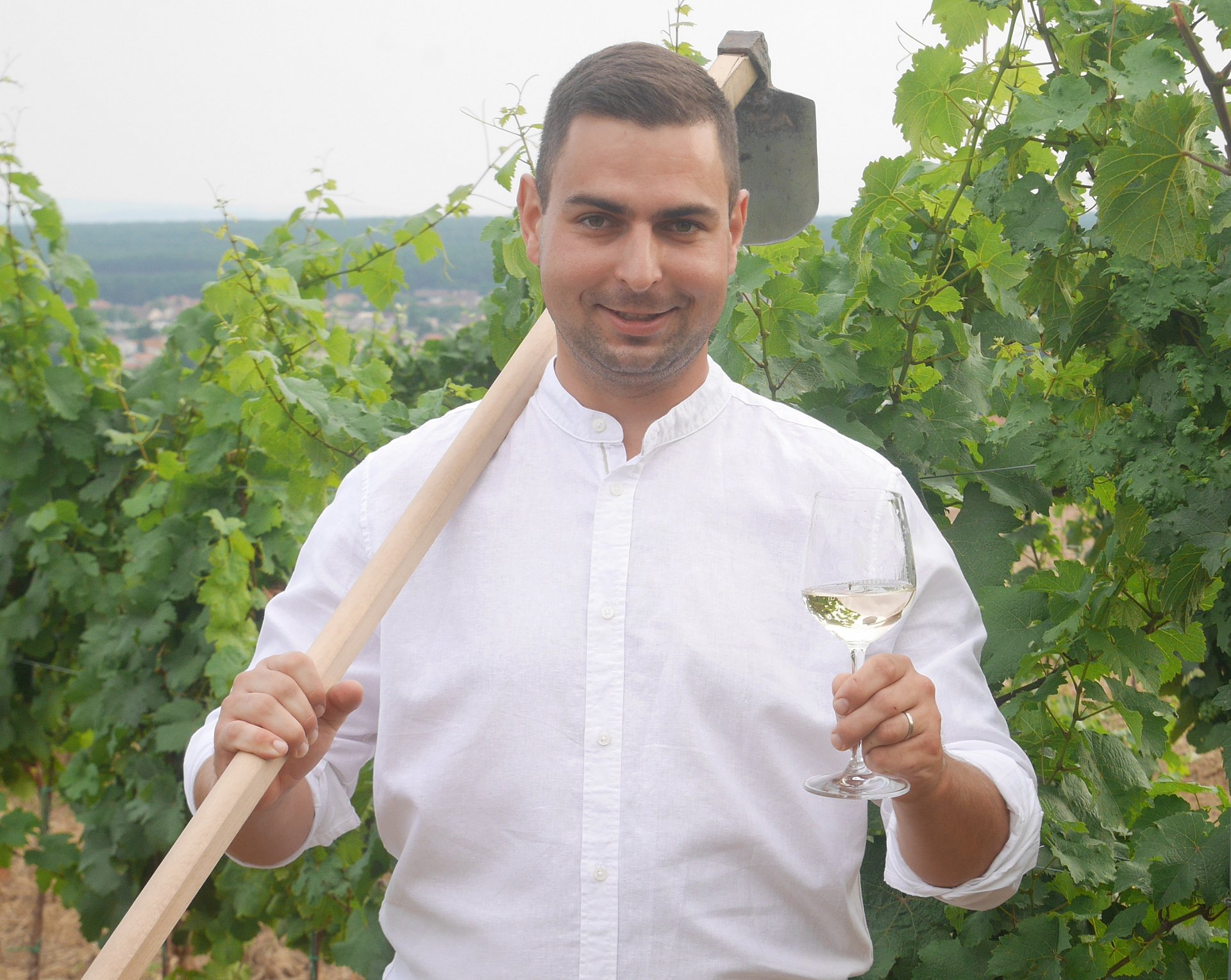 Vinařství Šebesta