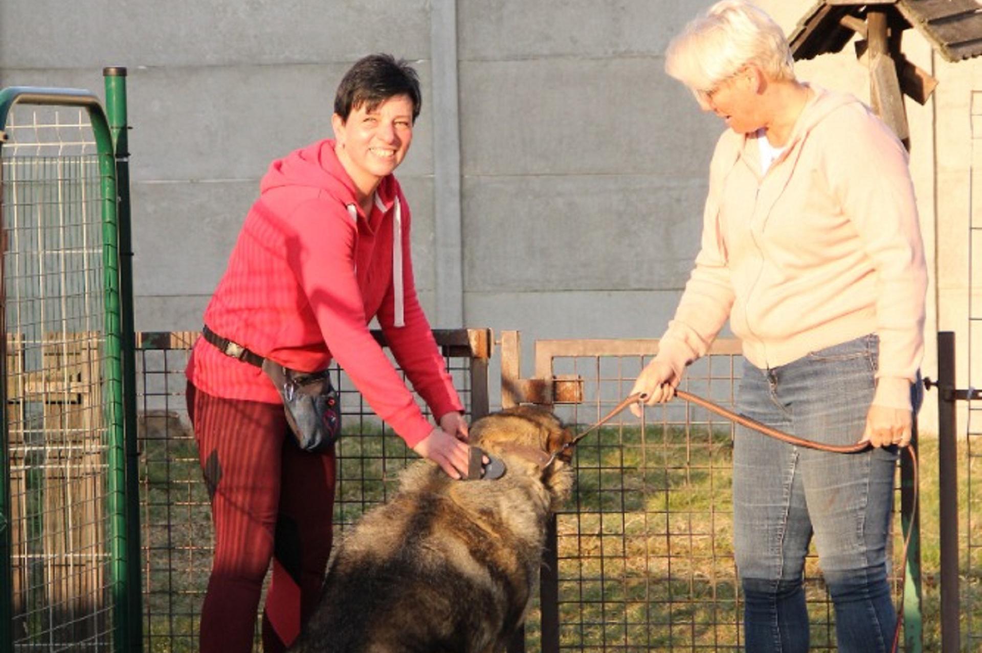 Radka Koubíčková, Rodinný pension Mazlíček